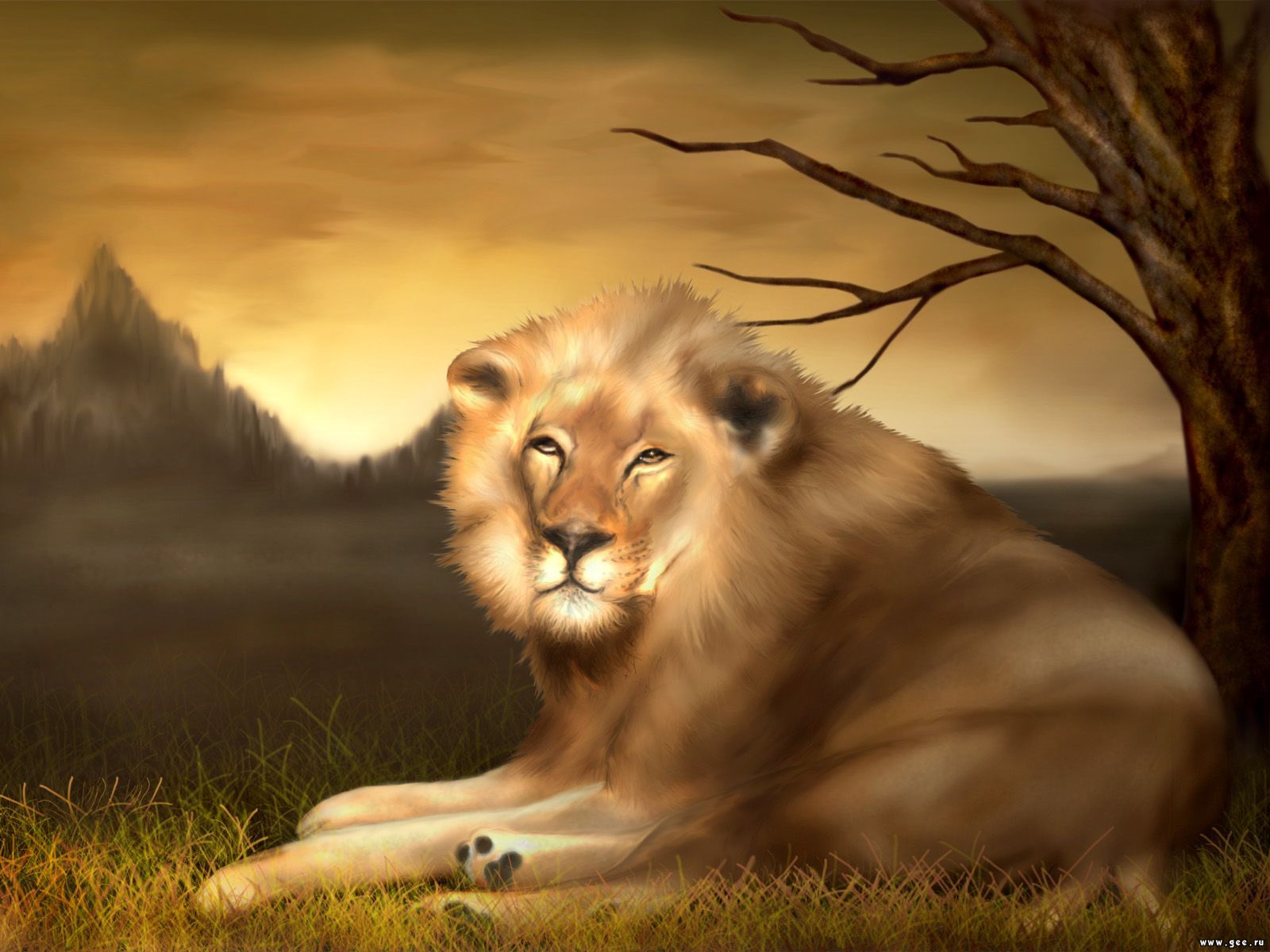 Фотография лев Большие кошки животное Рисованные 1600x1200 Львы Животные