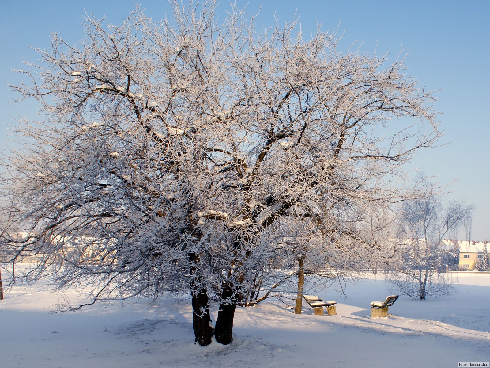 Bilder Natur Vinter En årstid
