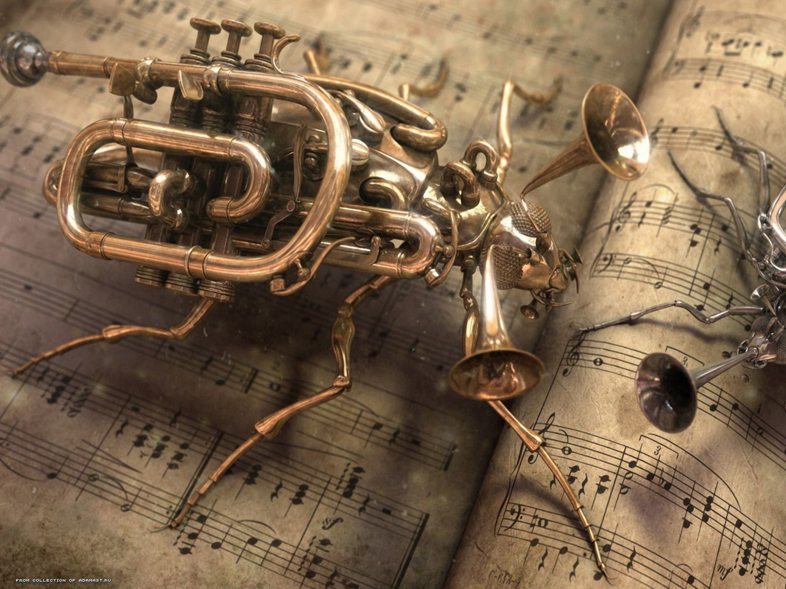 Photo Musical Instruments