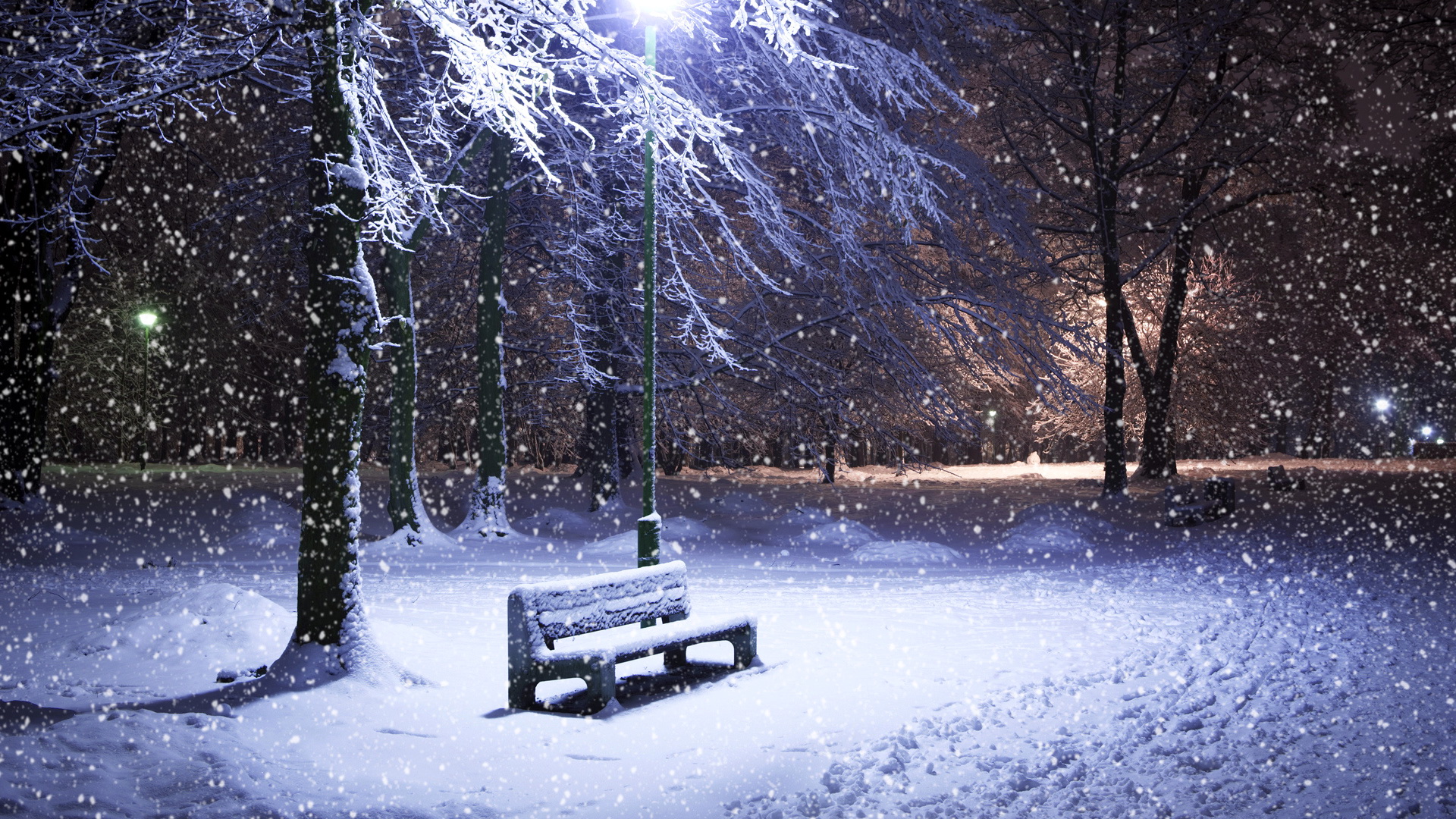 Foto Natur Winter Schnee Bank (Möbel) Straßenlaterne Jahreszeiten