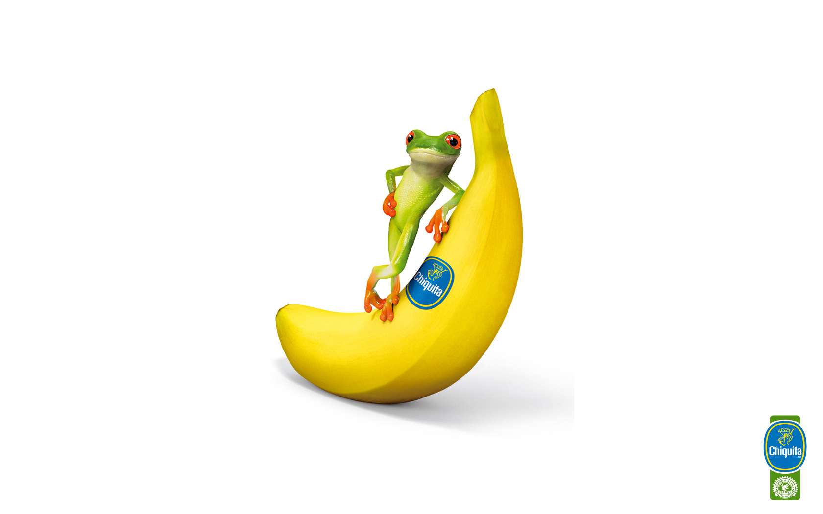 Fotos von lustige Bananen Humor