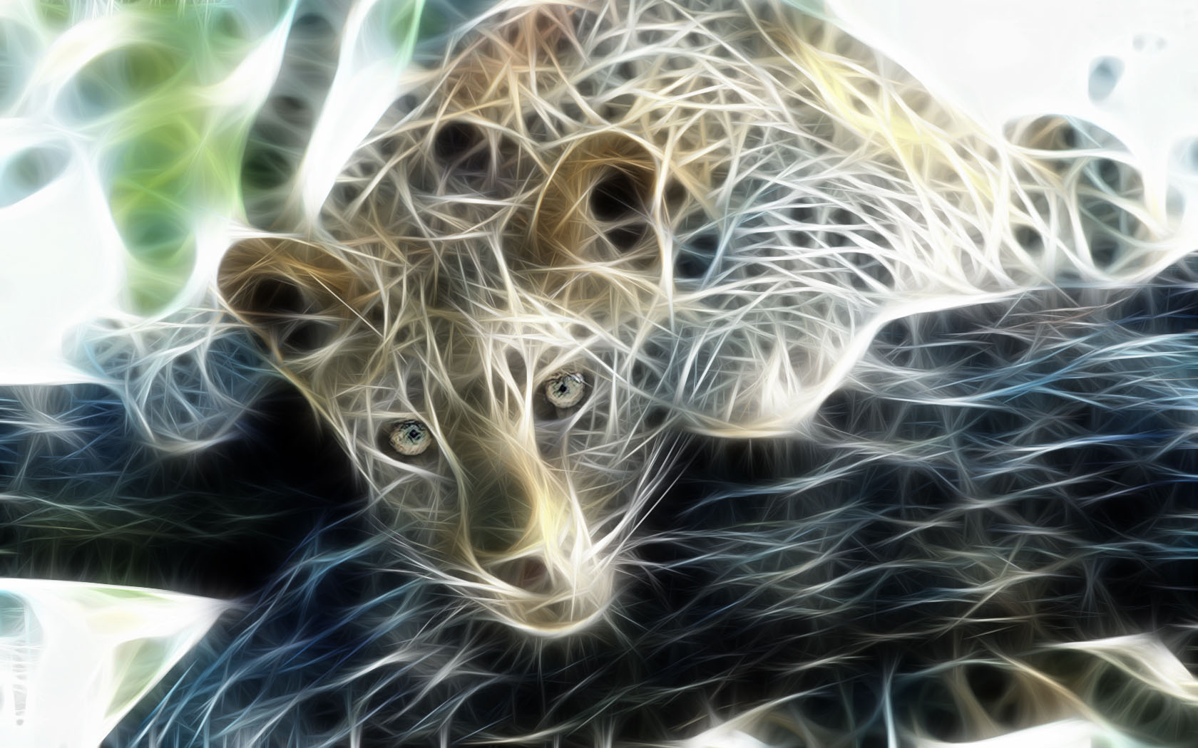 Afbeeldingen luipaard Pantherinae een dier Geschilderde Luipaarden Dieren getekende