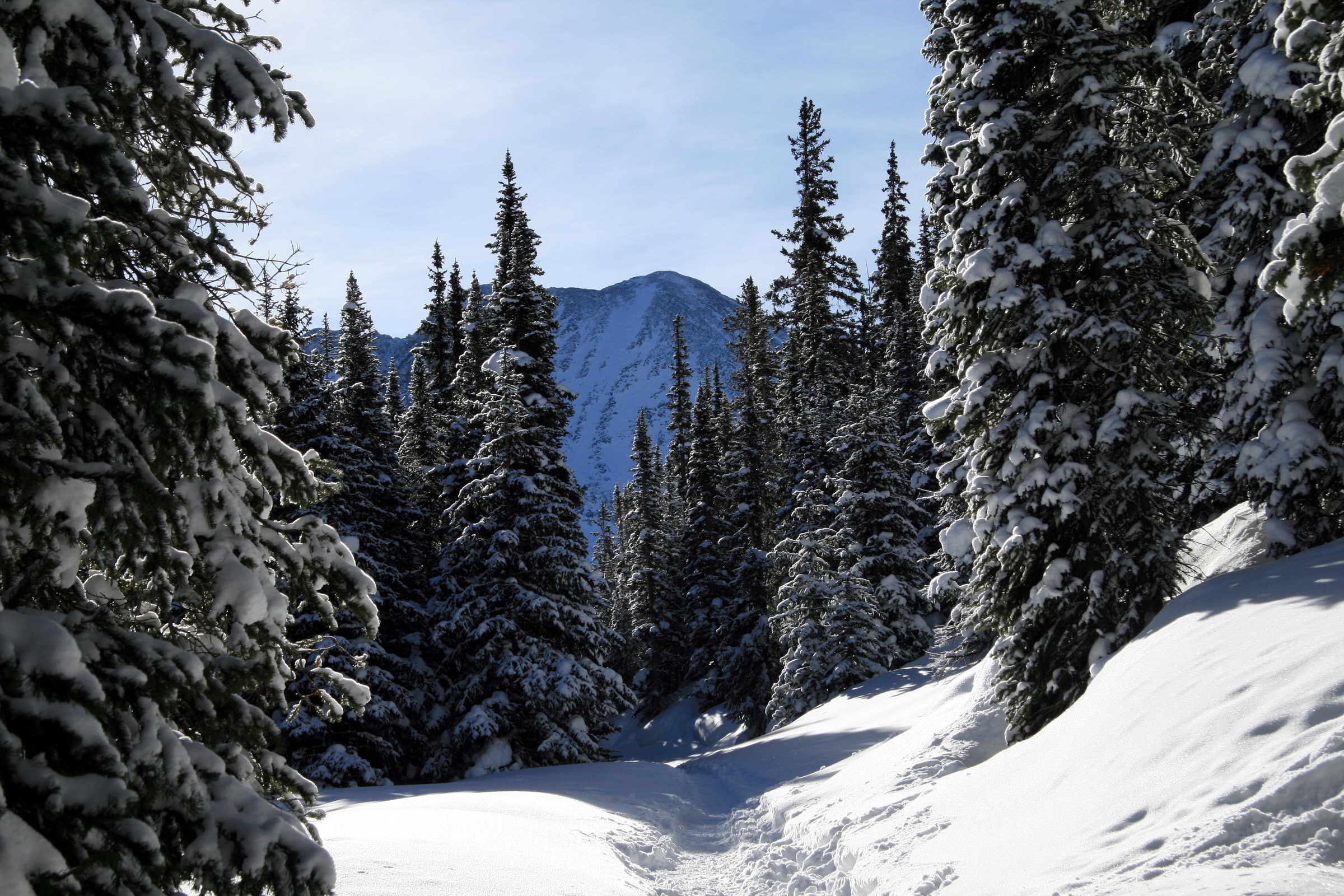 Фотографии Колорадо Зима Природа Снег сезон года 2400x1600 зимние снега снегу снеге Времена года
