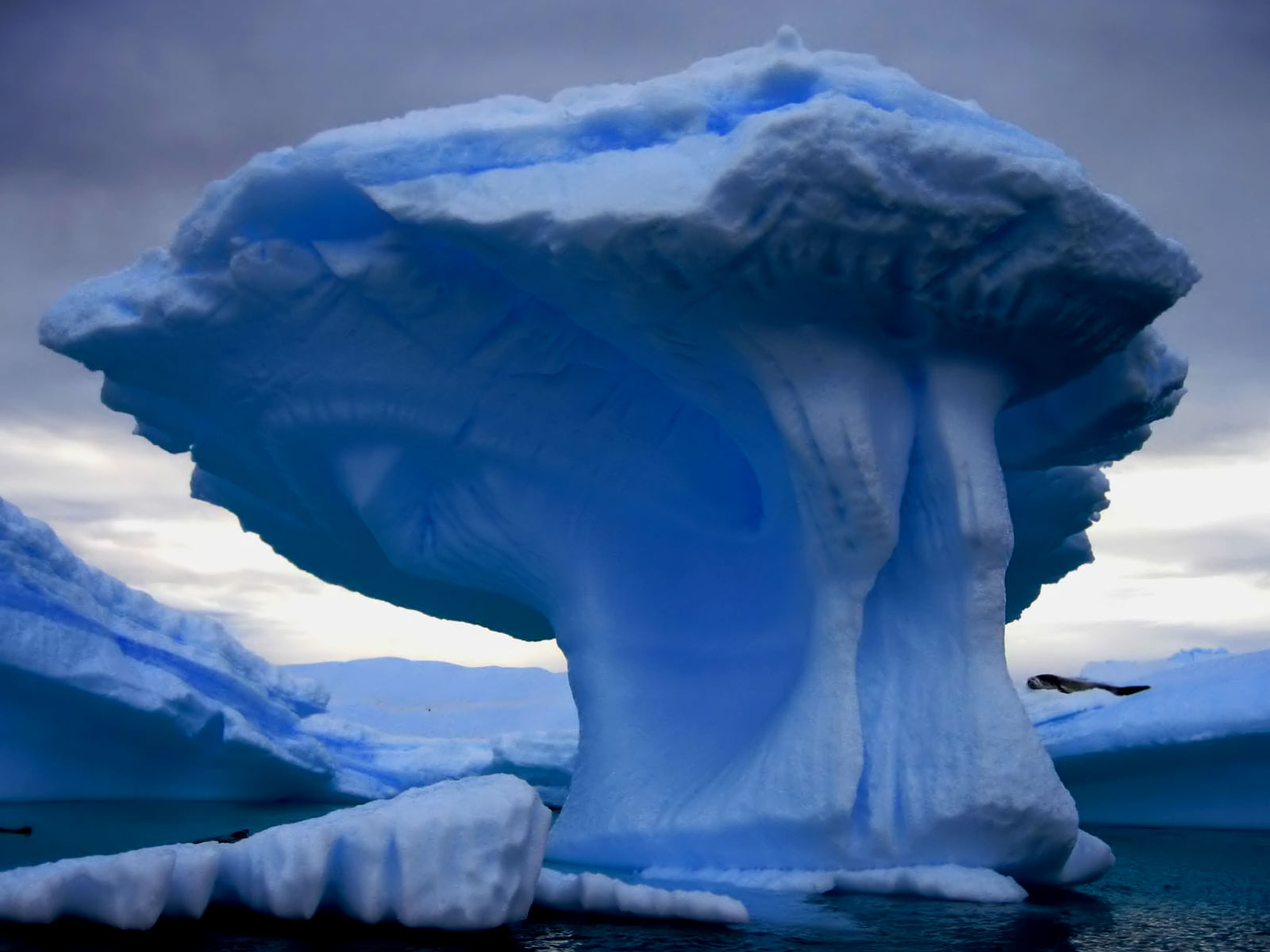 Iceberg Nature