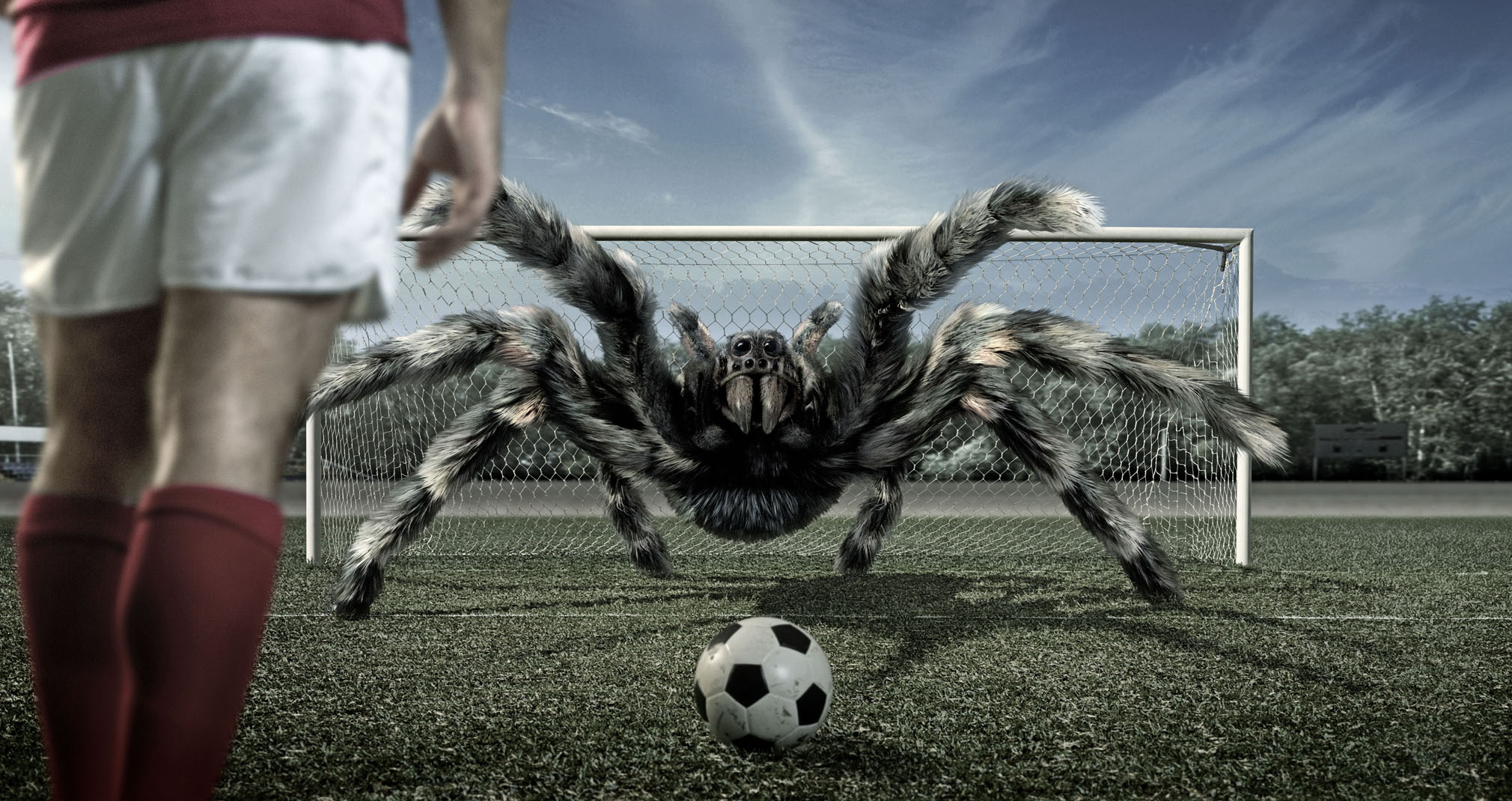 Photos Spiders Footbal athletic Legs 2020x1070 Sport sports