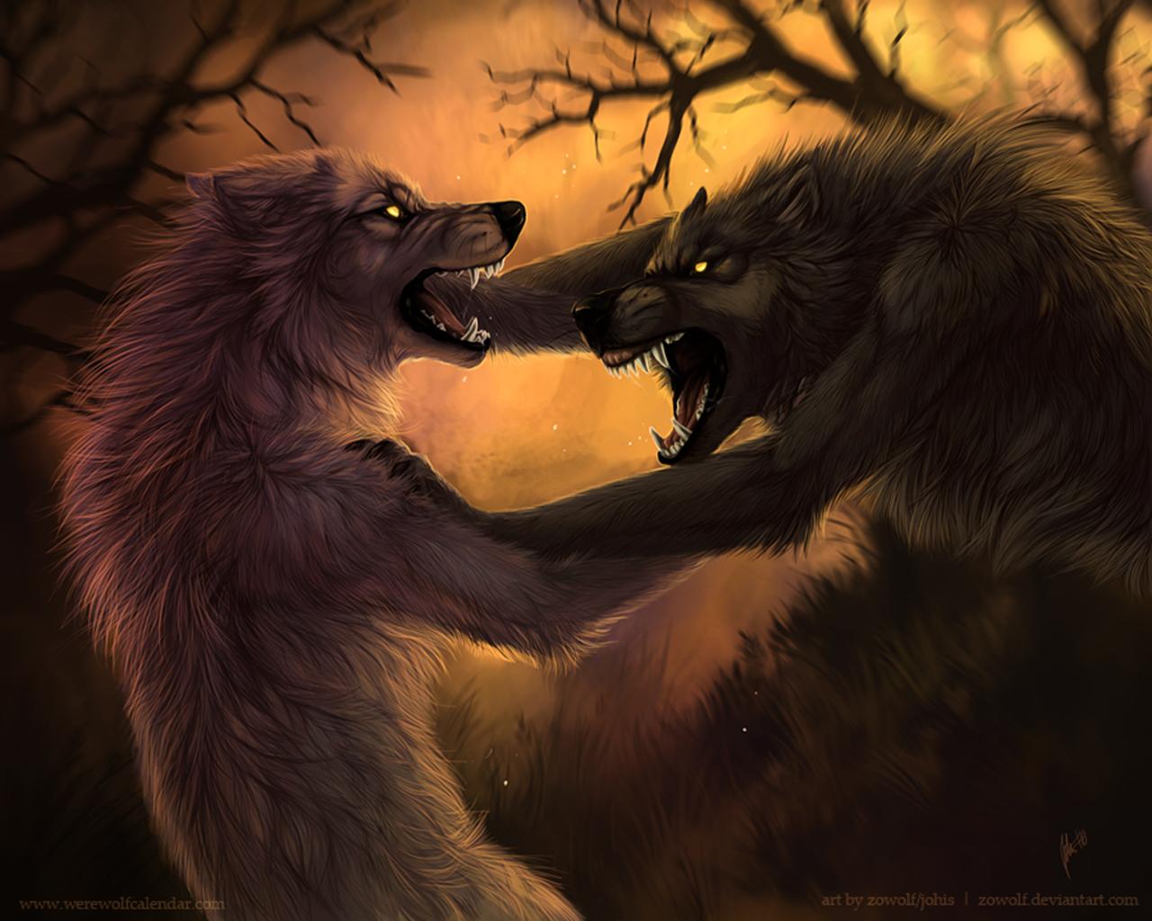 Achtergrond Fantasy Weerwolf Magische dieren