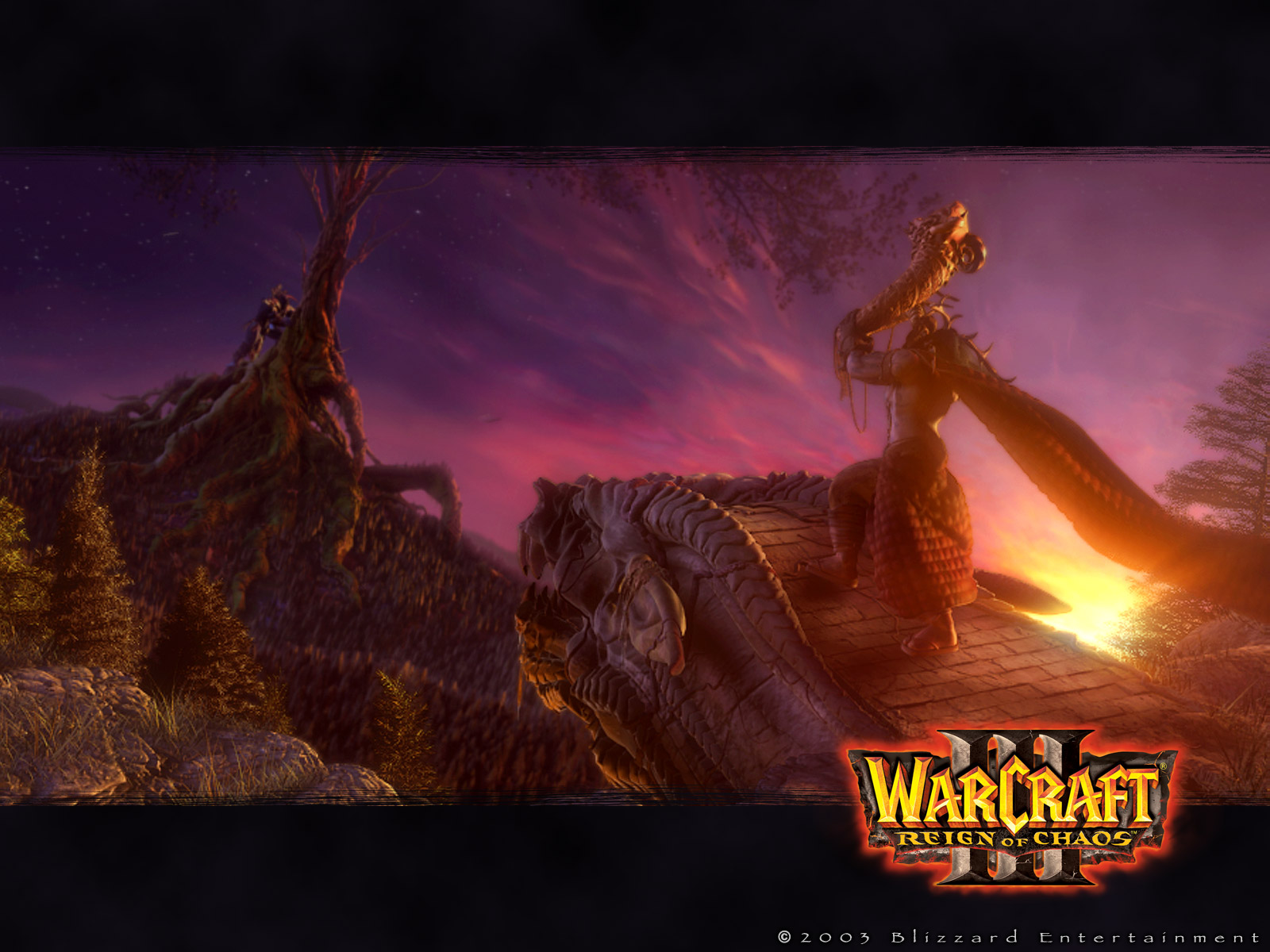 Foto wow Videogiochi 1600x1200 World of WarCraft gioco