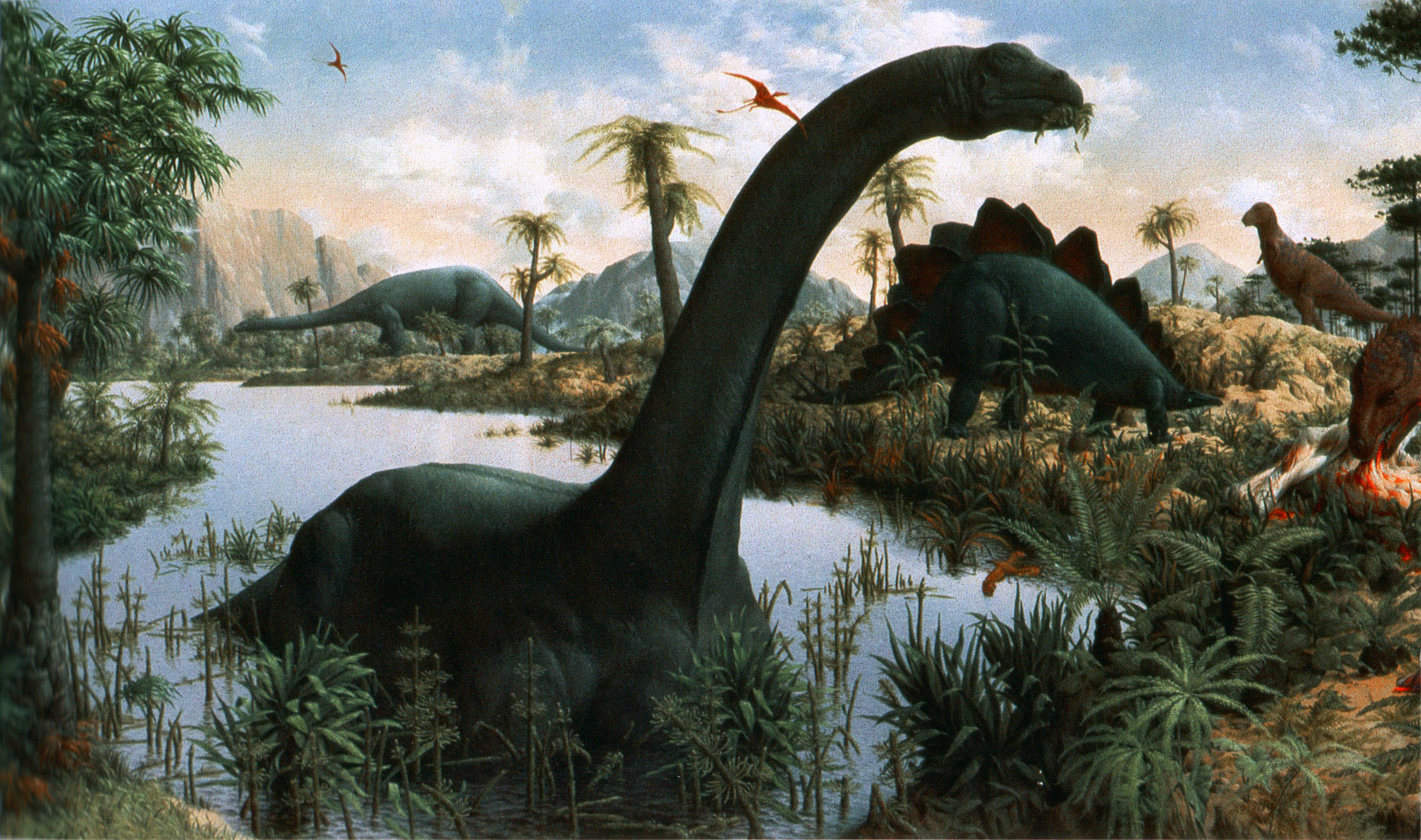 zdjęcia Dinozaury Brontosaurus zwierzę Starożytne zwierzęta 2988x1766 dinozaur Zwierzęta