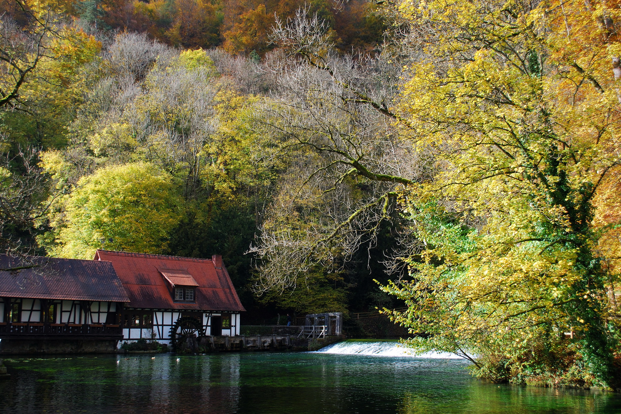 Achtergronden bureaublad Duitsland Natuur rivier Rivieren