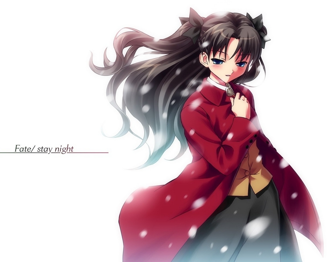 Wallpaper Fate: Stay Night Anime