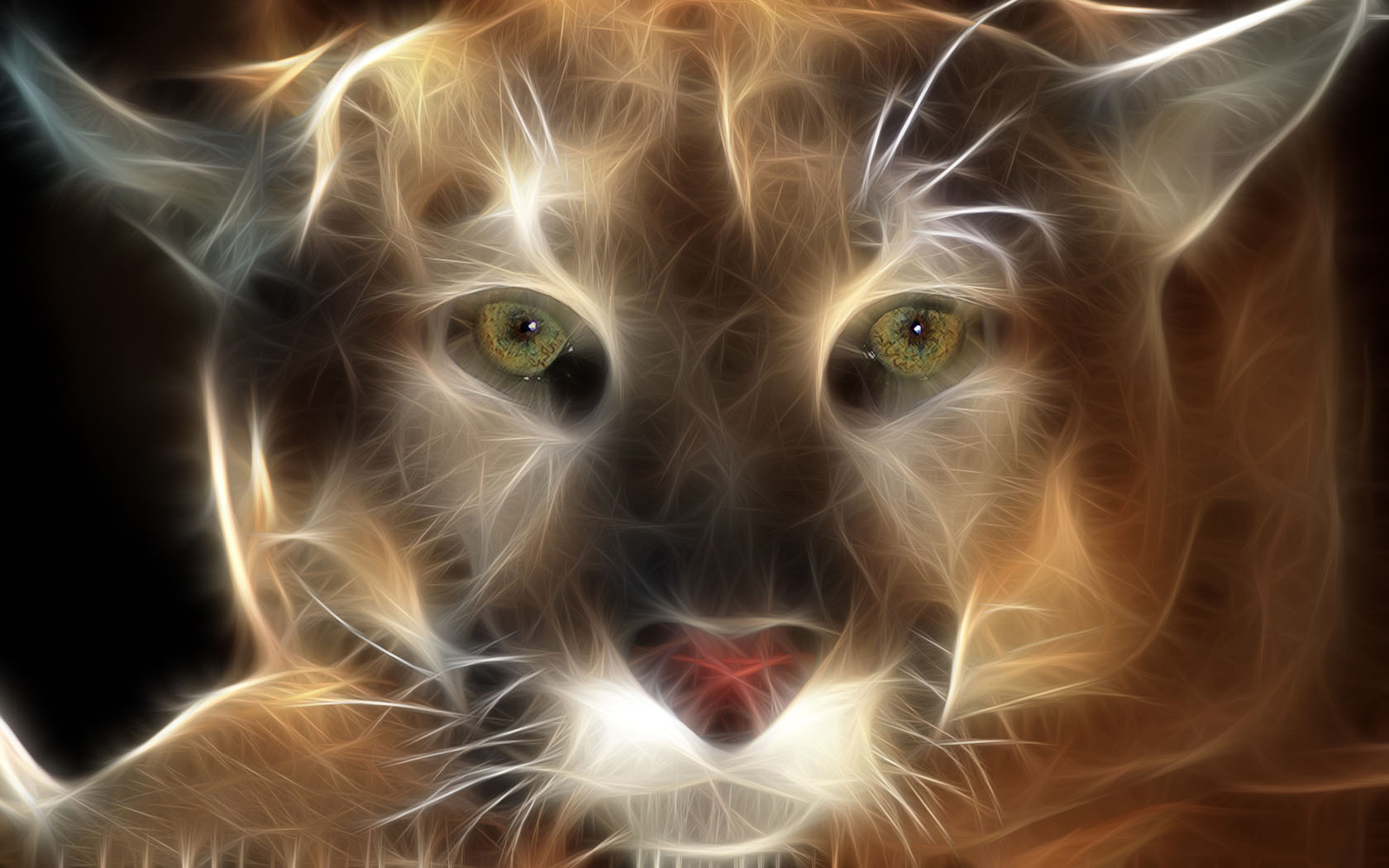 Fondos de Pantalla Grandes felinos Pumas Dibujado Animalia descargar  imagenes