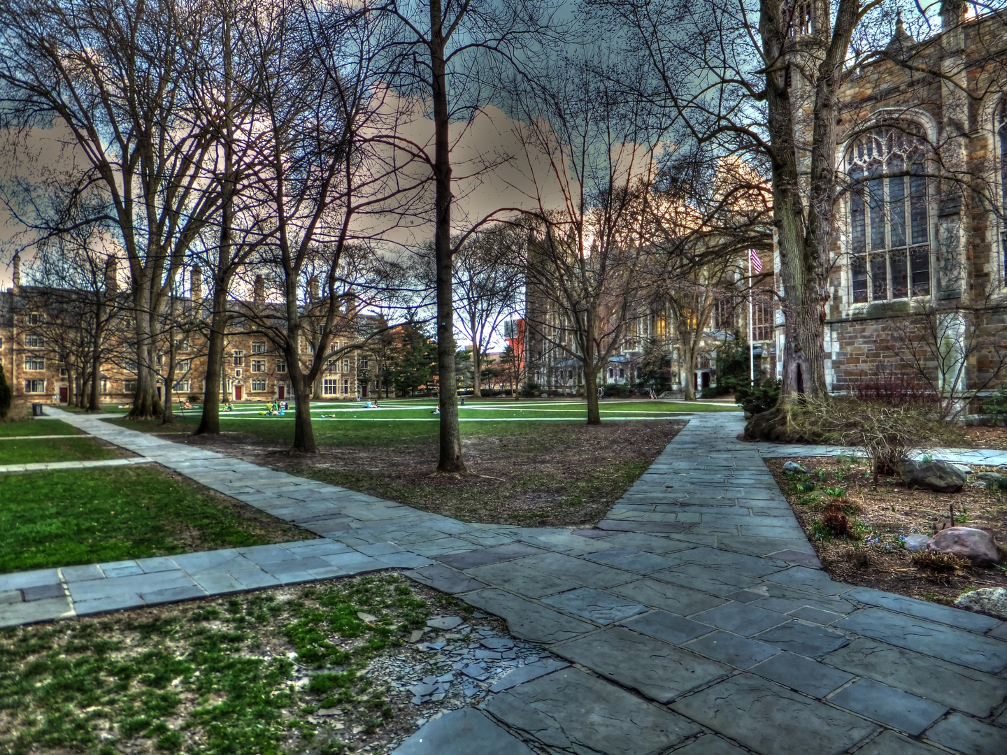 Achtergrond verenigde staten University of Michigan Law School Quadrangle een stad Amerika Steden
