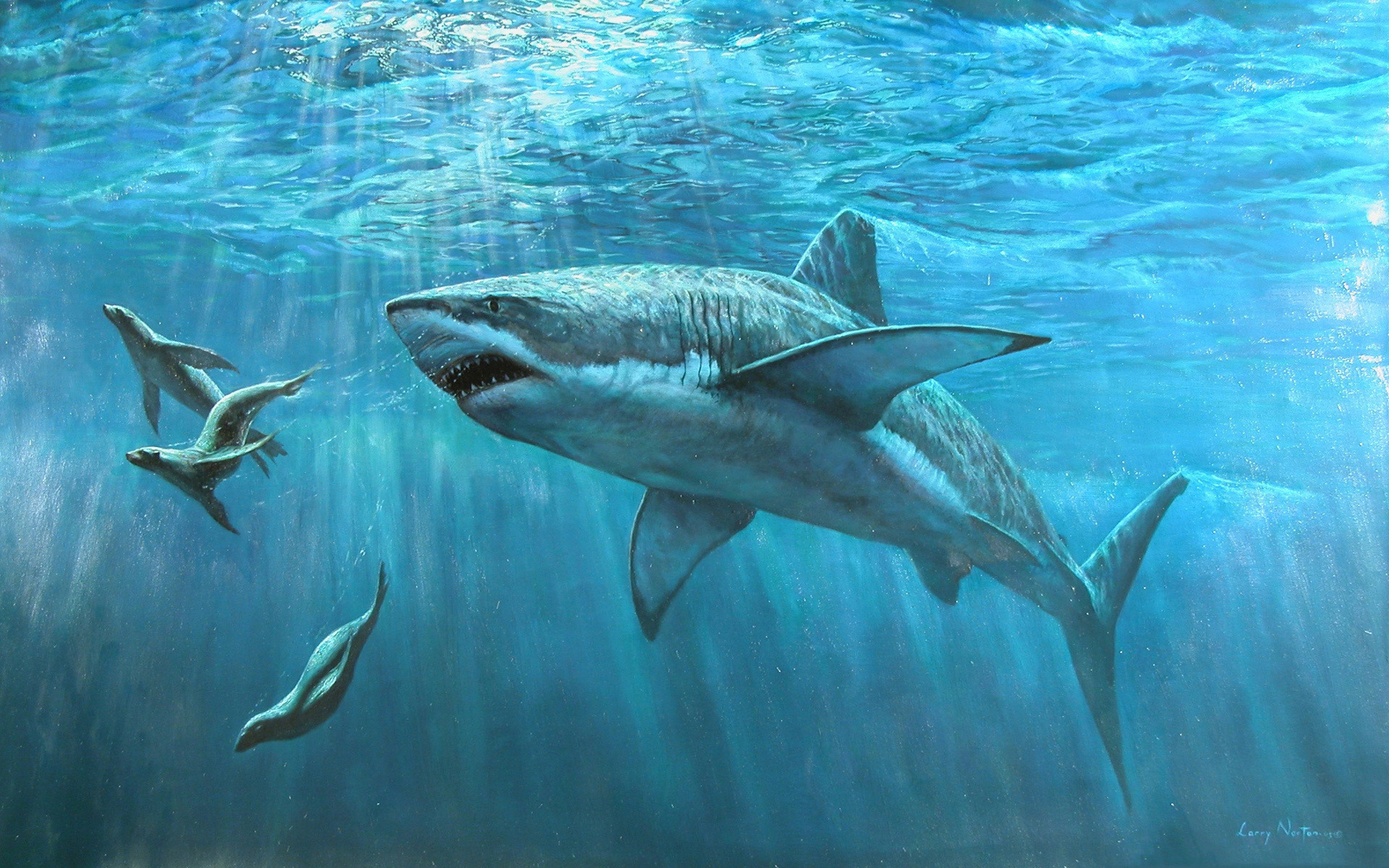 Bilder Haie Unterwasserwelt Tiere 1920x1200 ein Tier