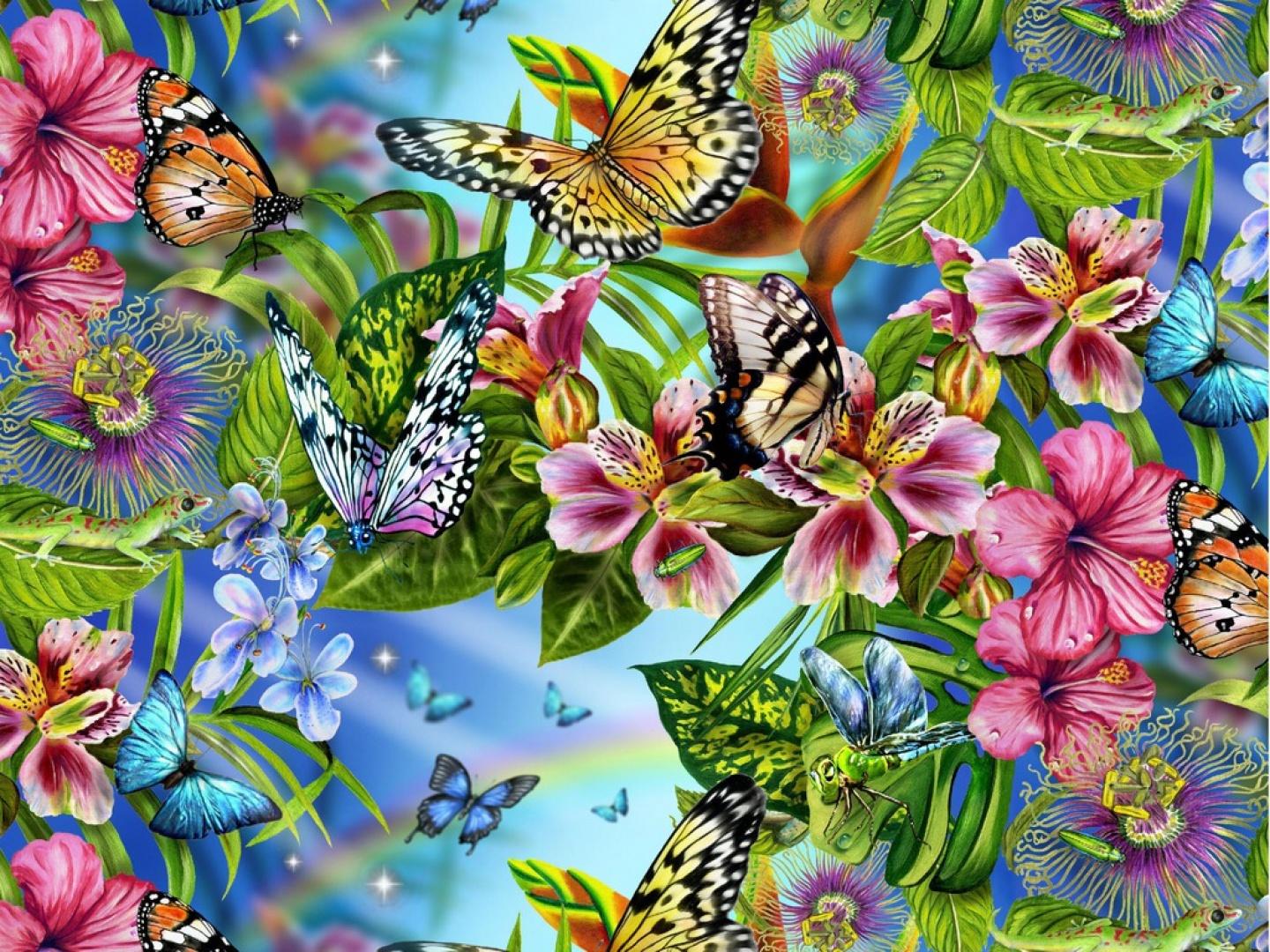 Bakgrunnsbilder til skrivebordet Insekter sommerfugl Dyr Sommerfugler