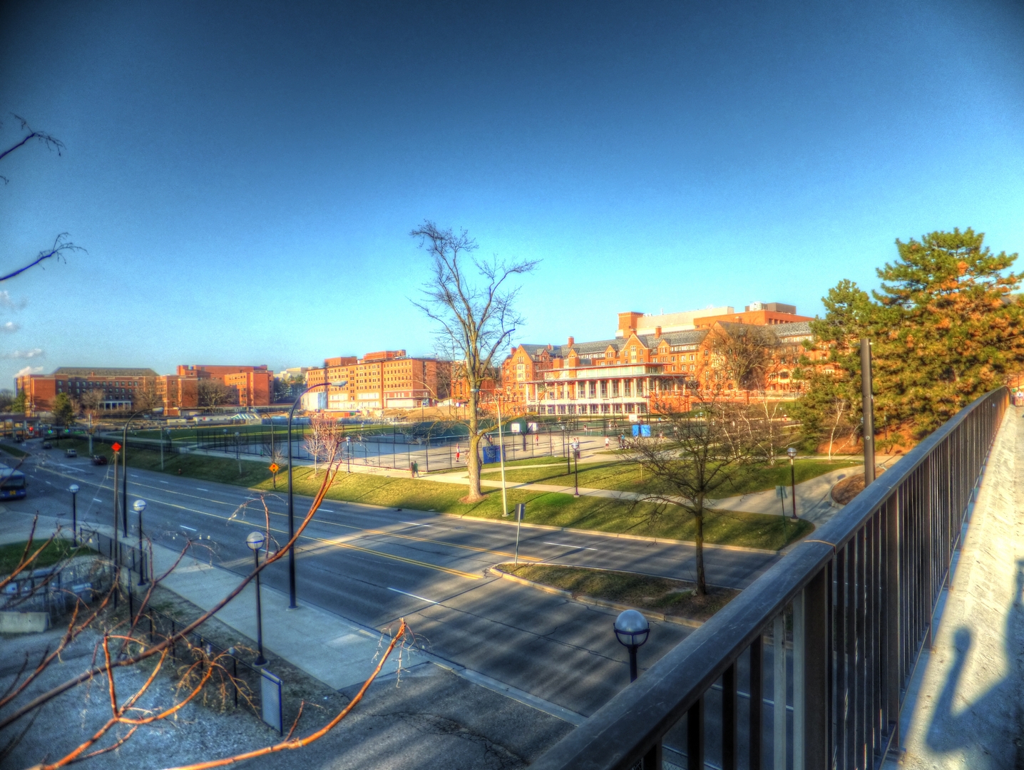 Bilde amerika University of Michigan Campus Byer USA byen en by