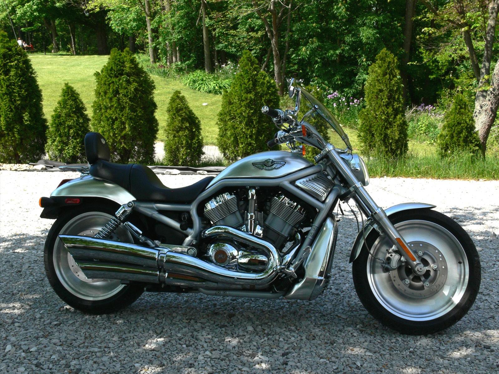 Sfondi del desktop Harley-Davidson motocicletta Moto motocicli