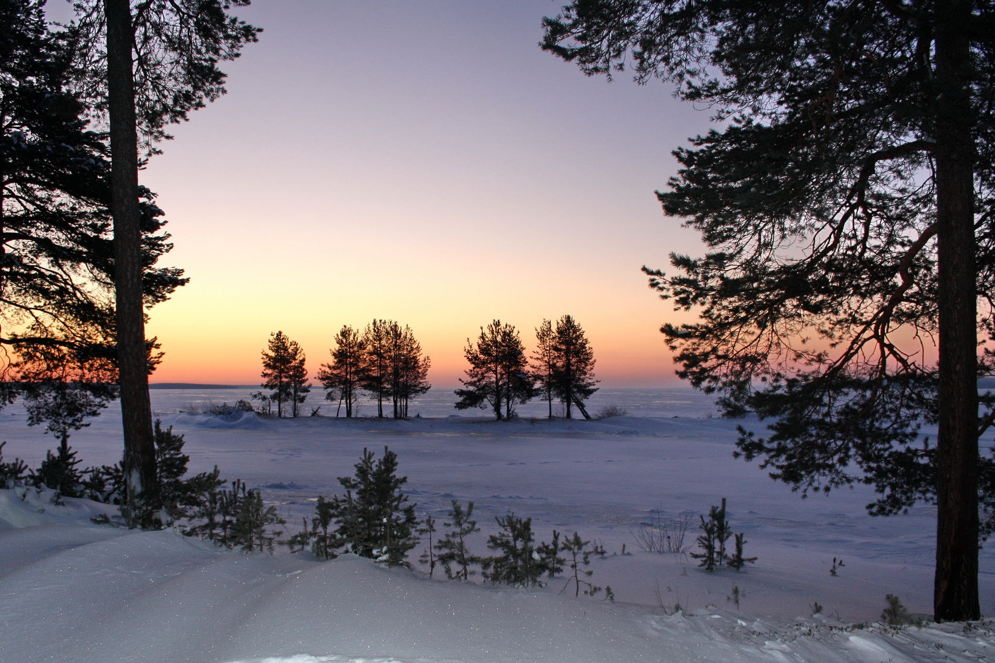zdjęcia Zima Natura Śnieg Drzewa Pora roku 2048x1365 przyroda