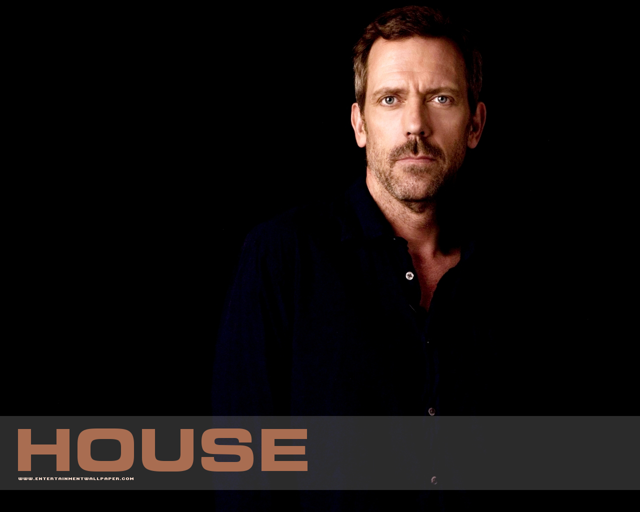 Dr. House Hugh Laurie Filme