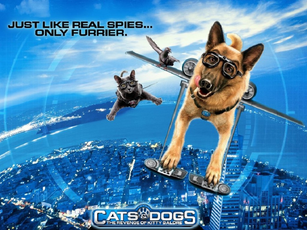 Foto Cats & Dogs Filmer film