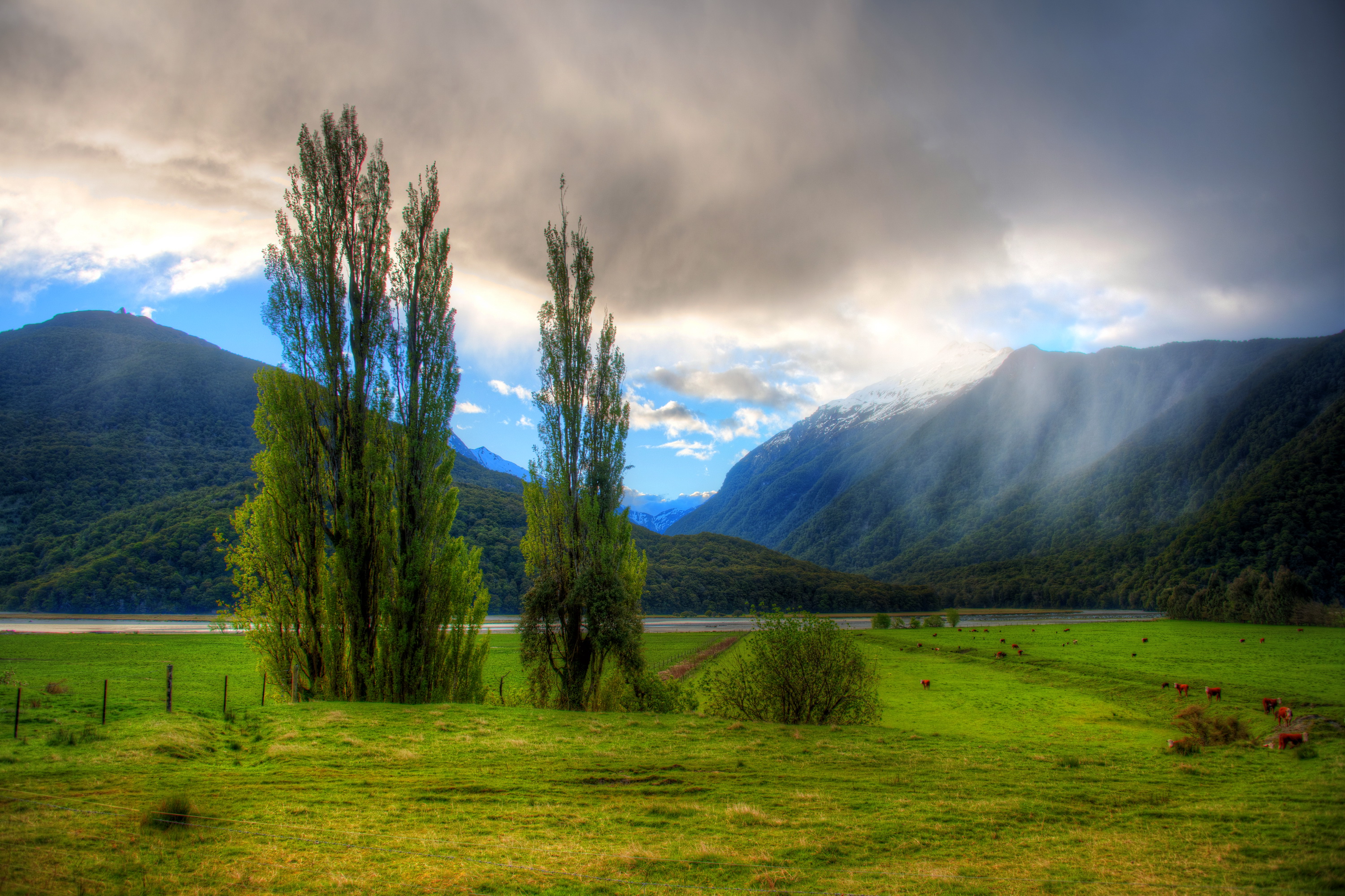 Foto Neuseeland Berg Natur Gras Gebirge