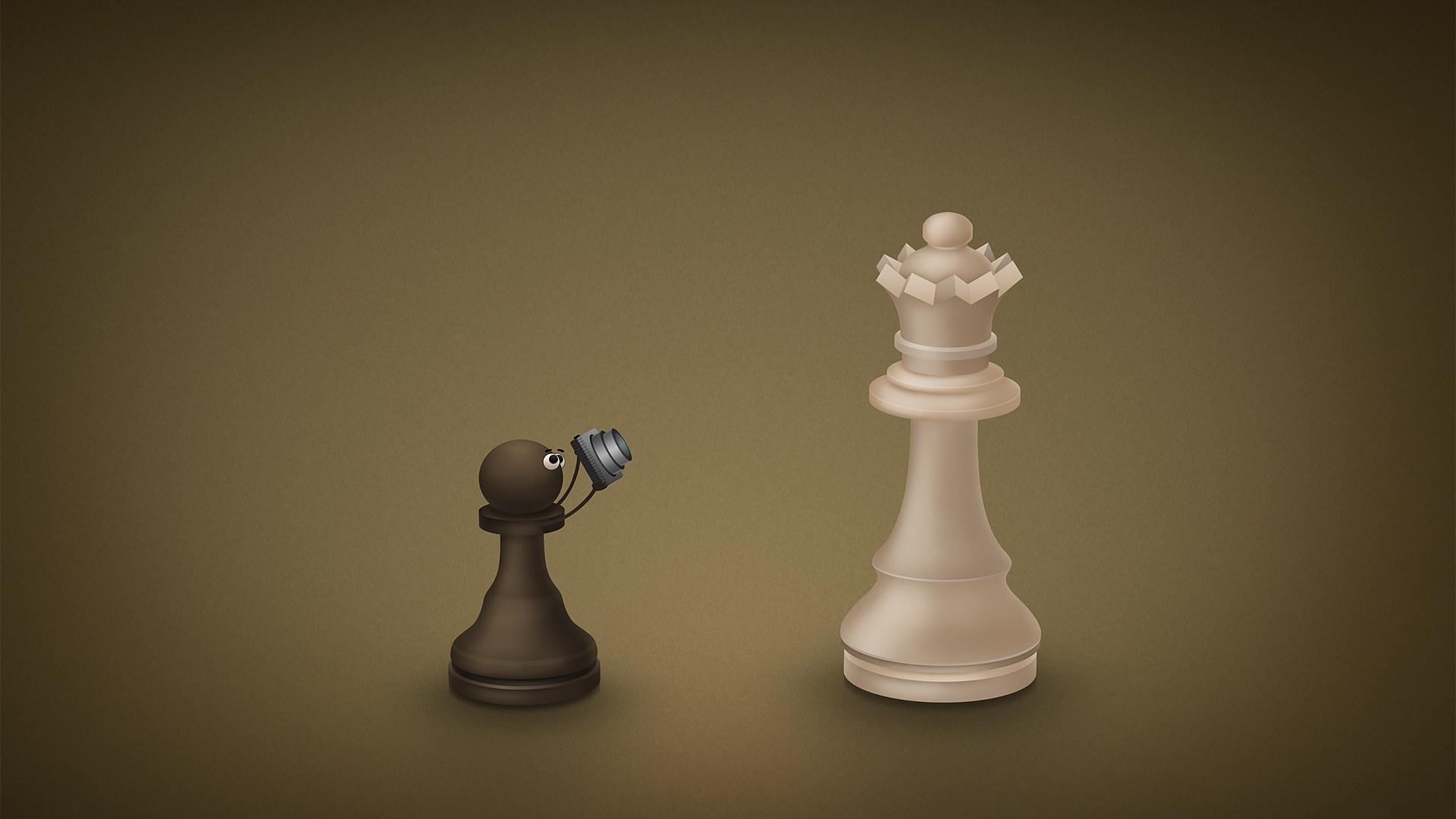 Bilder lustige Schach