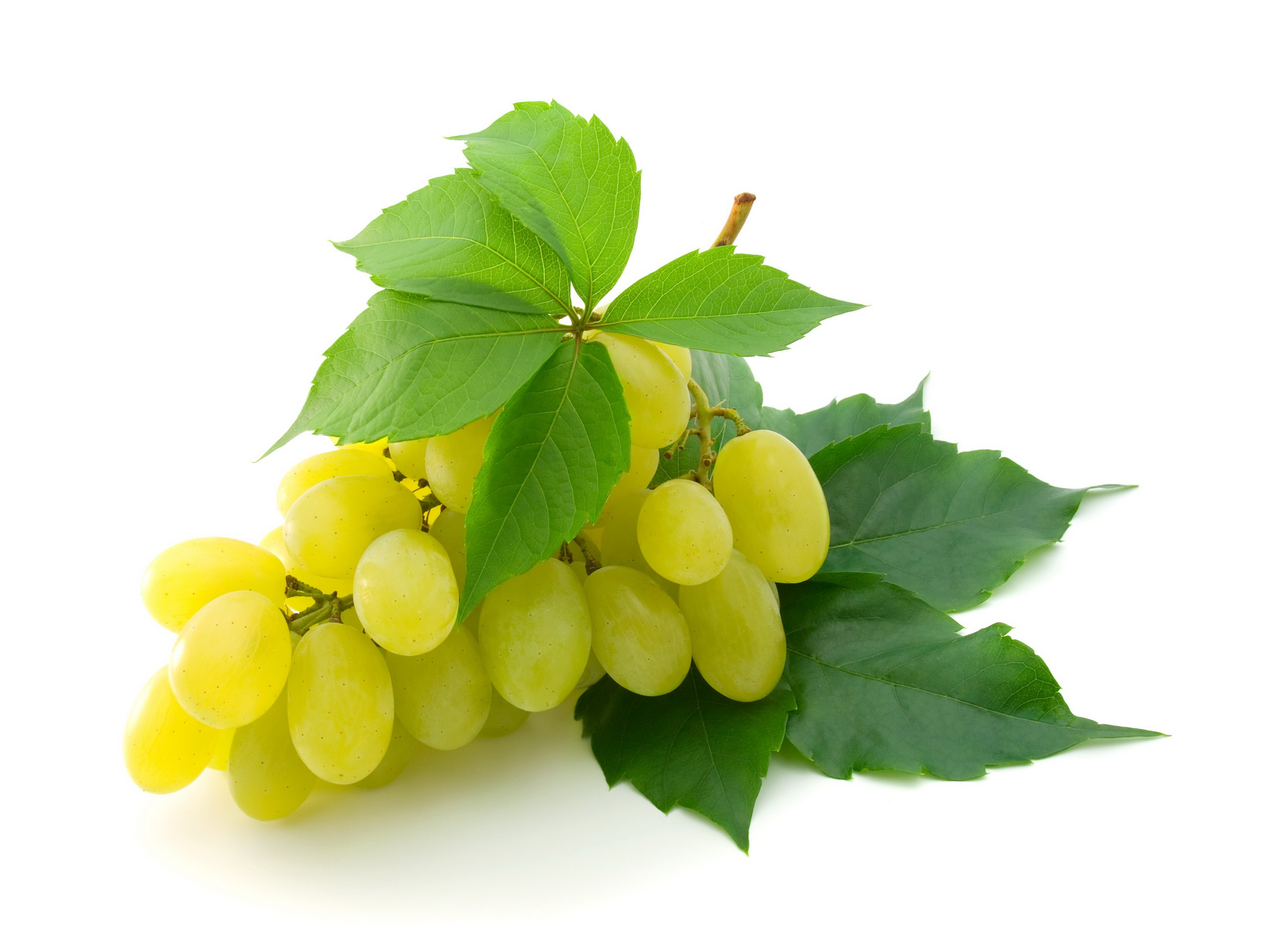 Tapety Liście Winogrona Owoce żywność 2972x2236 winogrono Jedzenie