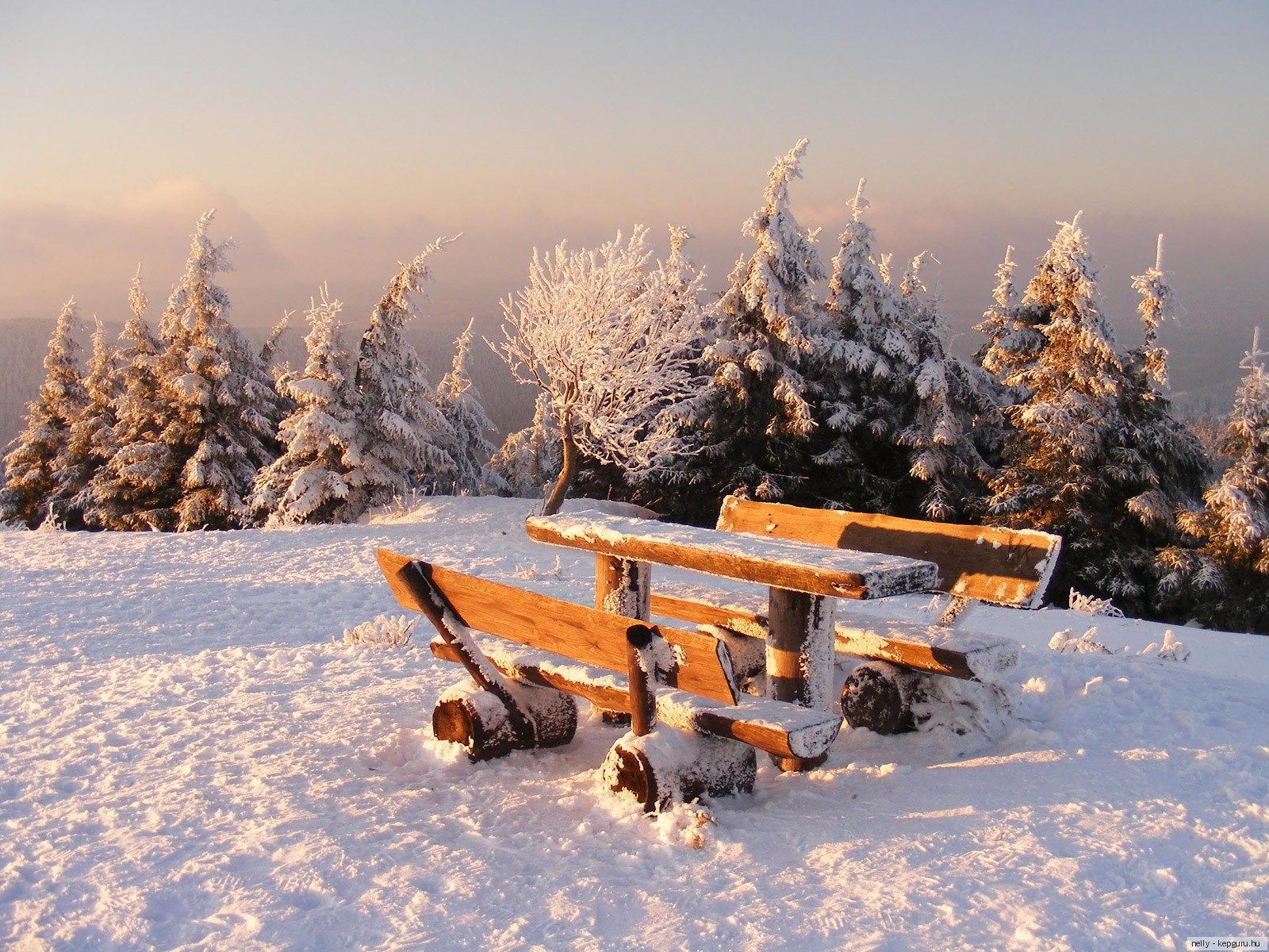 ，季节，冬季，长凳，桌子，大自然，