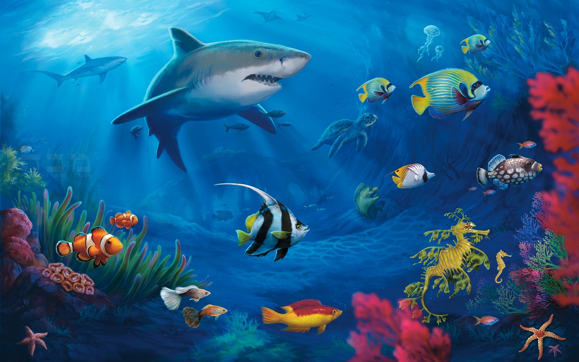Foto Haie Unterwasserwelt ein Tier Tiere
