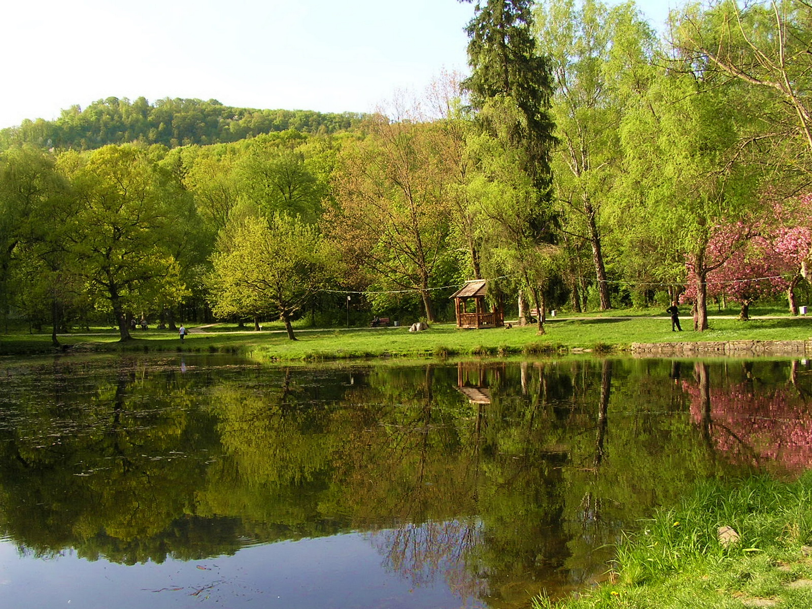 Parc Ukraine Carpates parcs Nature