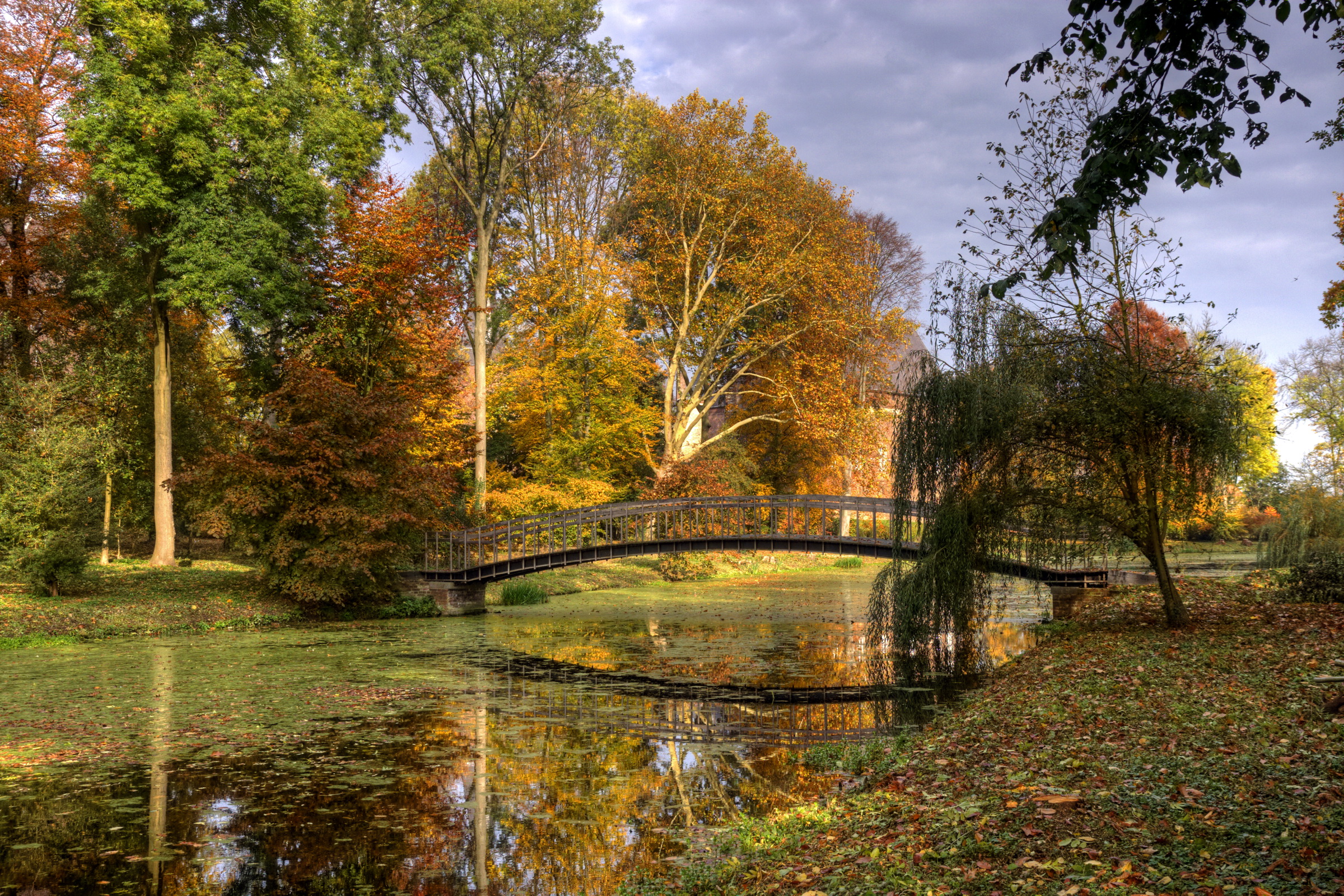 Фотографии Нидерланды Осень Природа сезон года осенние Времена года