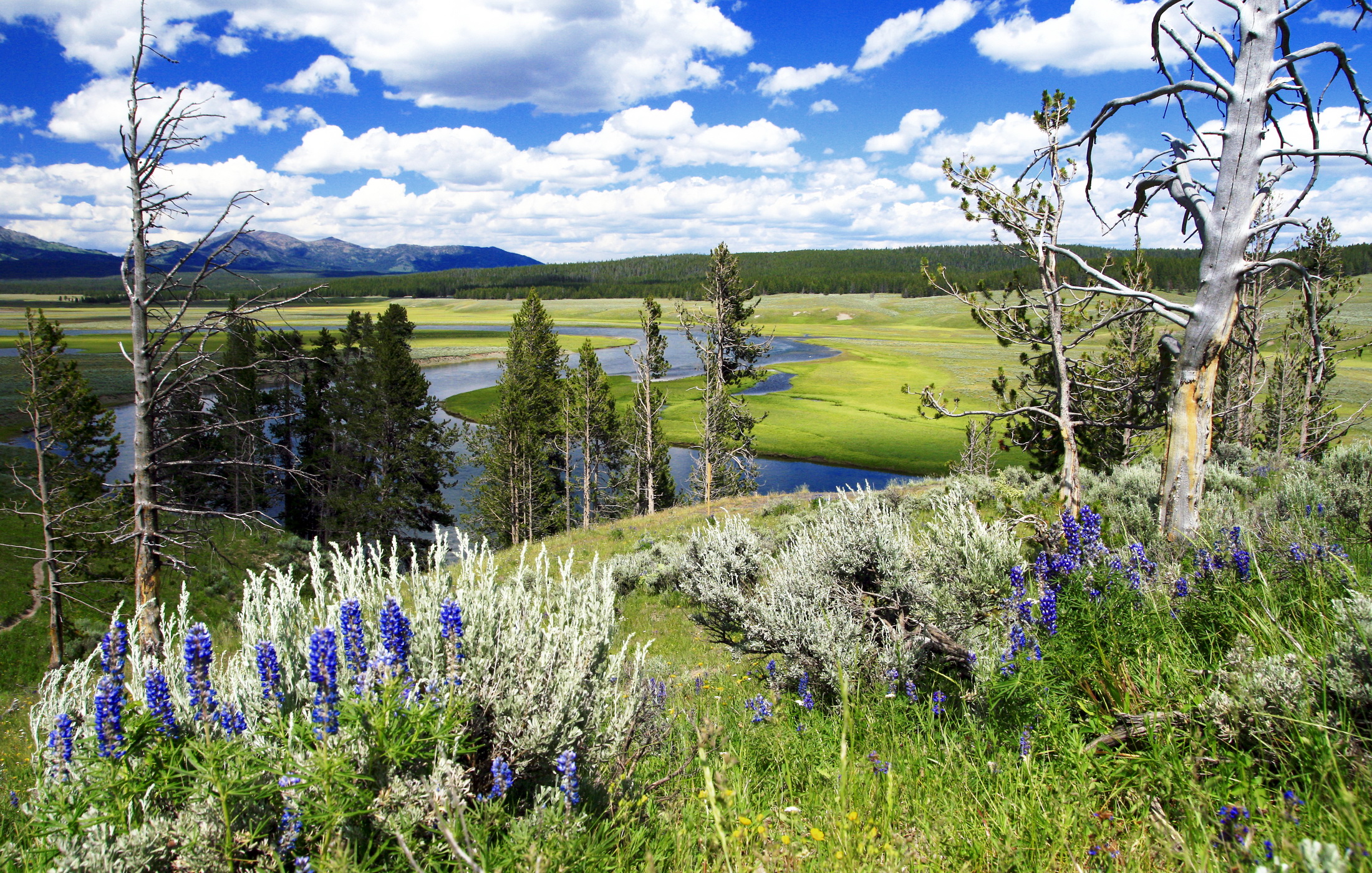 Immagini Yellowstone Wyoming Natura parchi 2200x1400 Parco