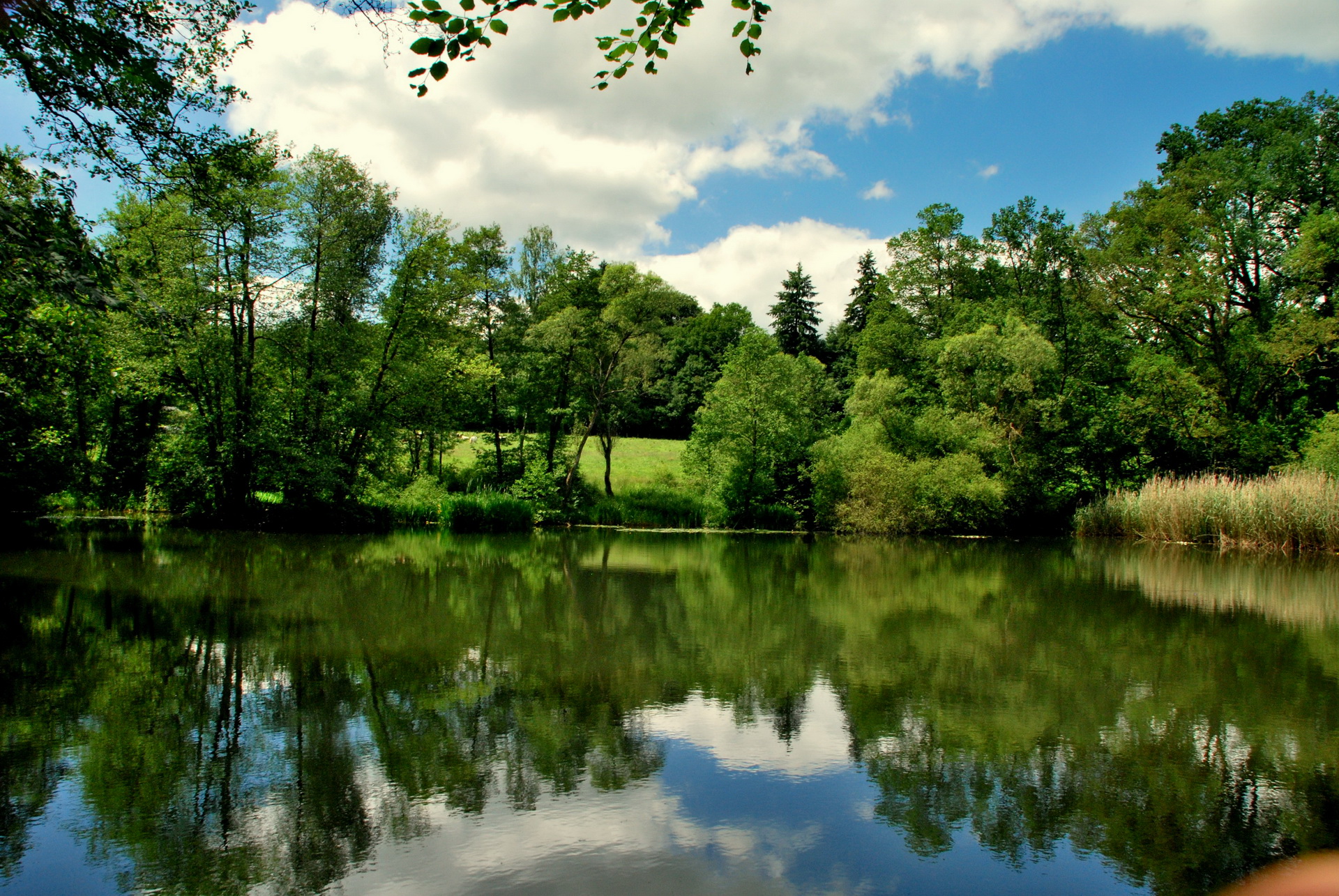 zdjęcie lake  Bierleux. Belgium Natura Niebo rzeka przyroda Rzeki