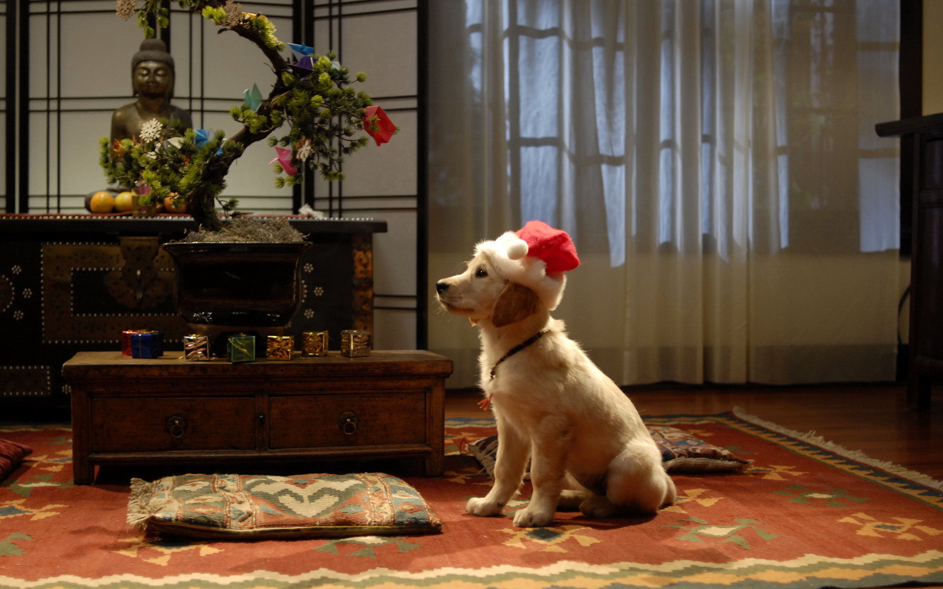 Sfondi del desktop Retriever Cani Capodanno Cappello invernale animale 1920x1200 cane natale anno nuovo Animali