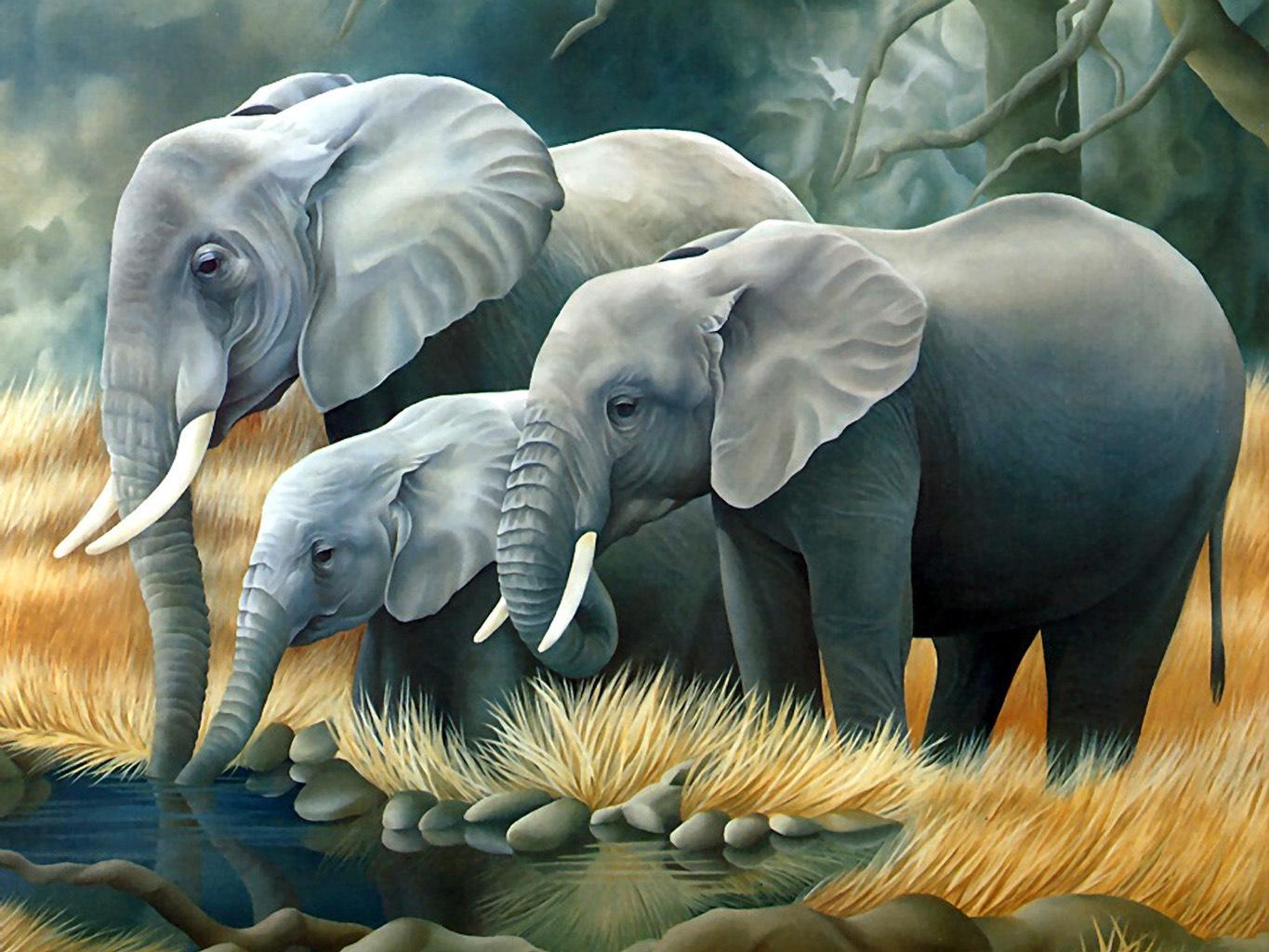 Fondos de Pantalla Elefantes Animalia descargar imagenes