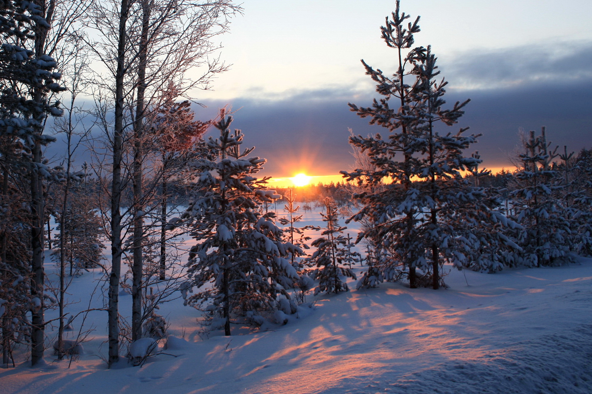 Bilder Lysstråler Natur Vinter Snø daggry og solnedgang Trær En årstid Soloppganger og solnedganger