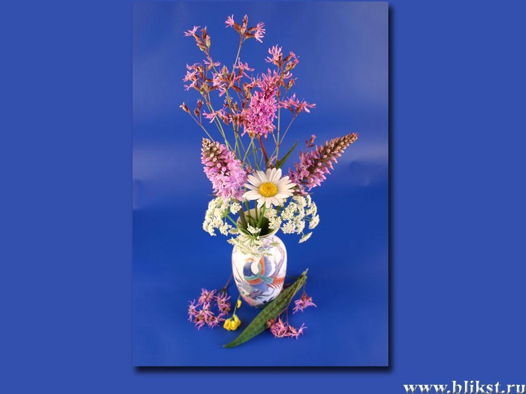 Bilder på skrivbordet blomsterbukett blomma Ikebana Buketter Blommor