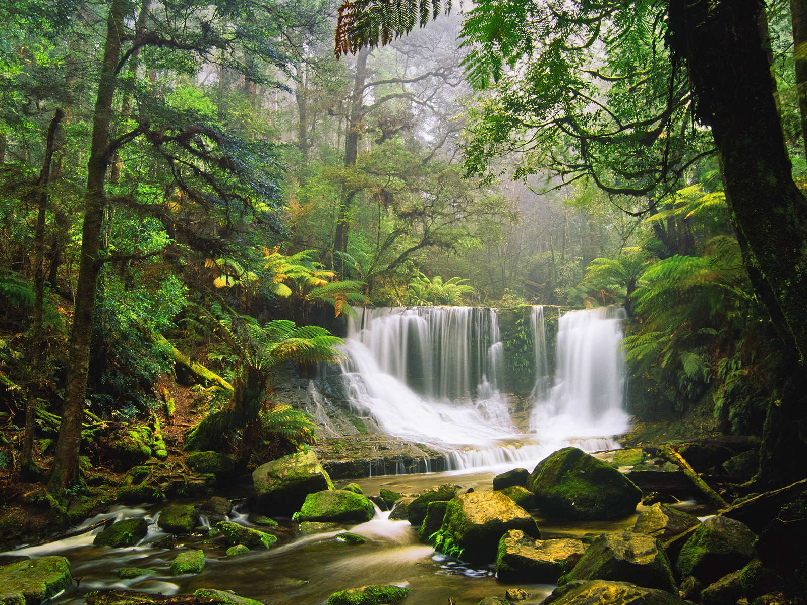 Foster lokal minimal Wallpaper Mount Field National Park, Australia Nature Waterfalls
