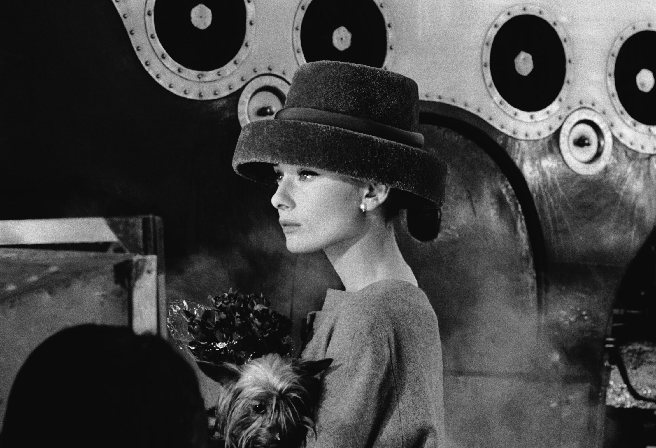 Bakgrundsbilder Audrey Hepburn Kändisar 2250x1536