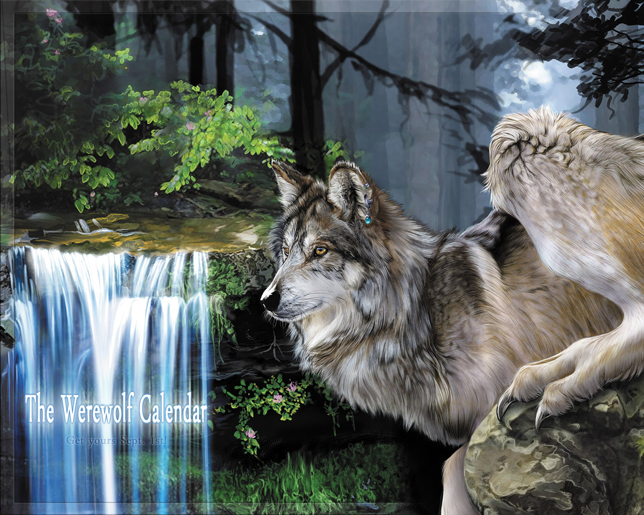 zdjęcie Fantasy Wilki Wilkołak wilk Magiczne zwierzęta wilk