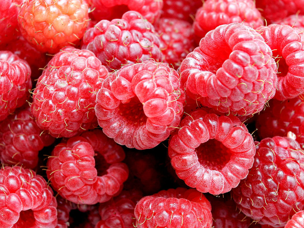 Desktop Hintergrundbilder Himbeeren Obst Lebensmittel das Essen