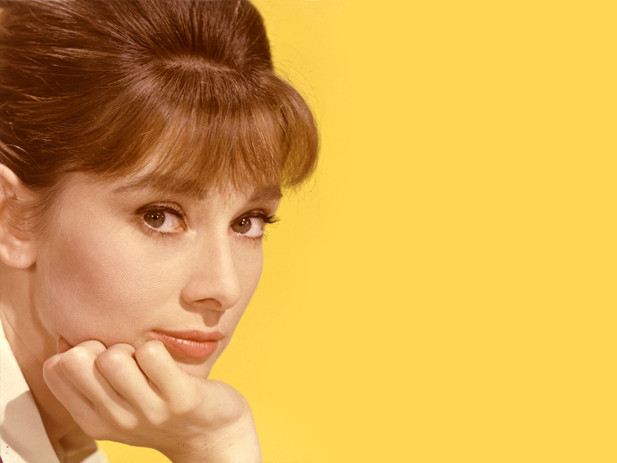 Audrey Hepburn Celebridad