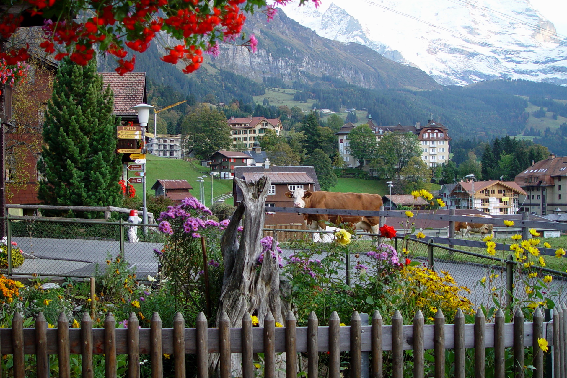 Picture Switzerland Cities