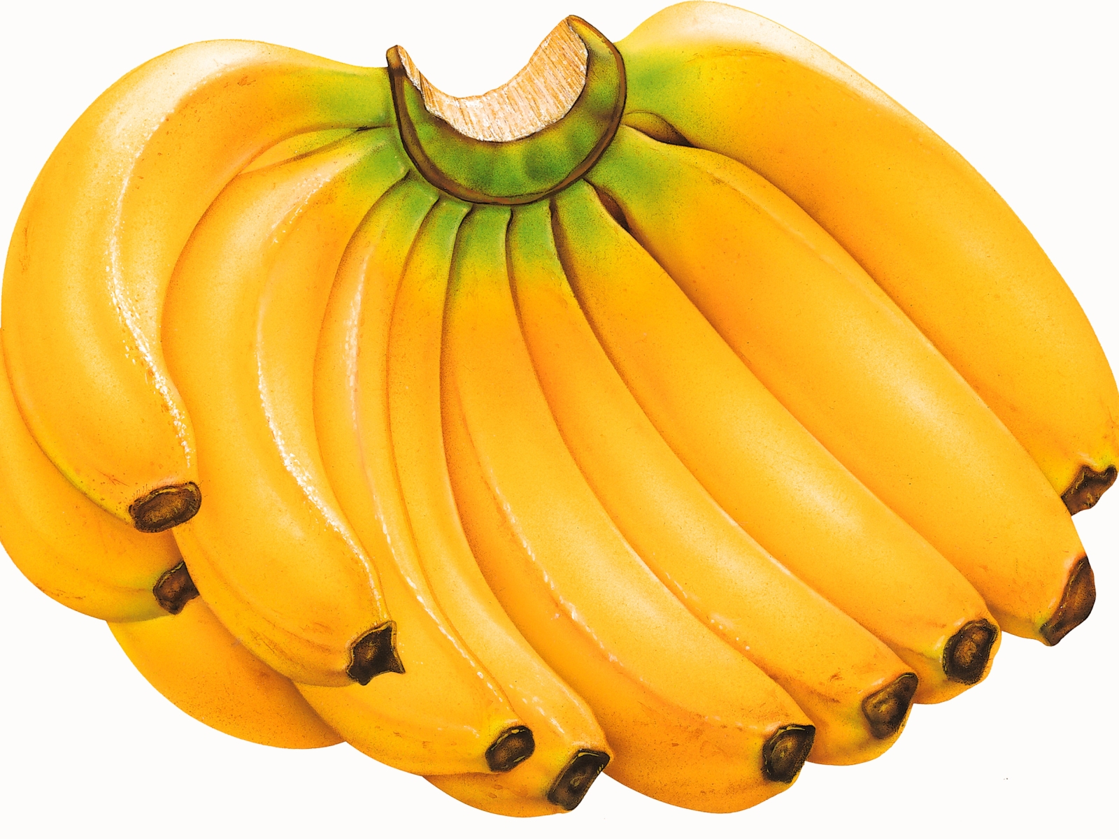 Bilder Bananer Mat Frukt 1600x1200