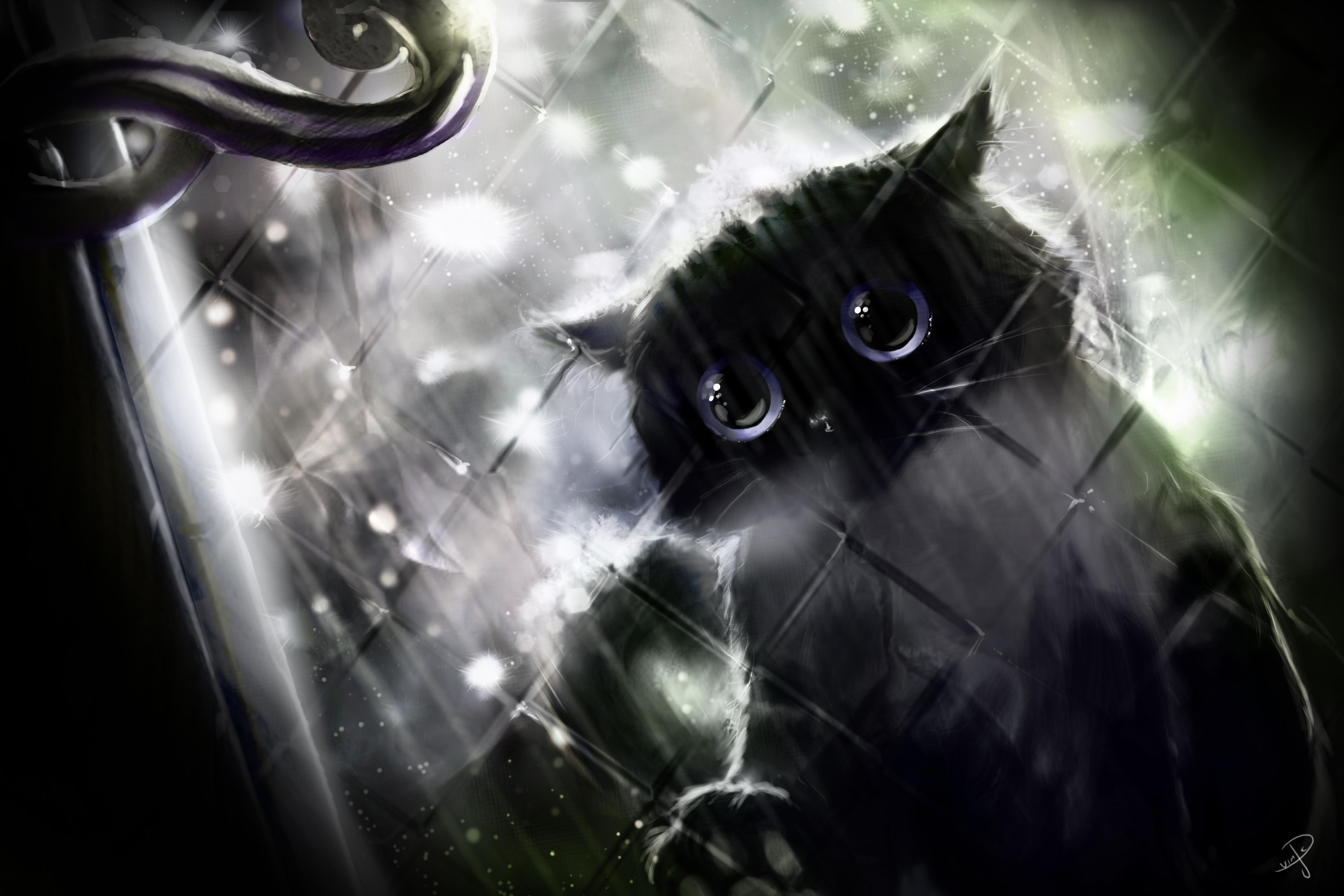 Картинки коты печальные глаза Животные Рисованные кот Кошки кошка животное