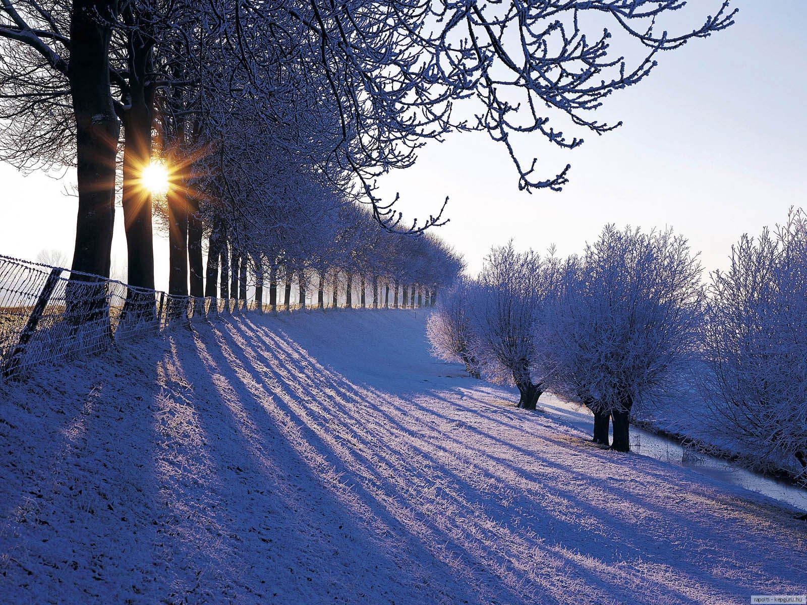 Фотография зимние Природа Времена года Зима сезон года