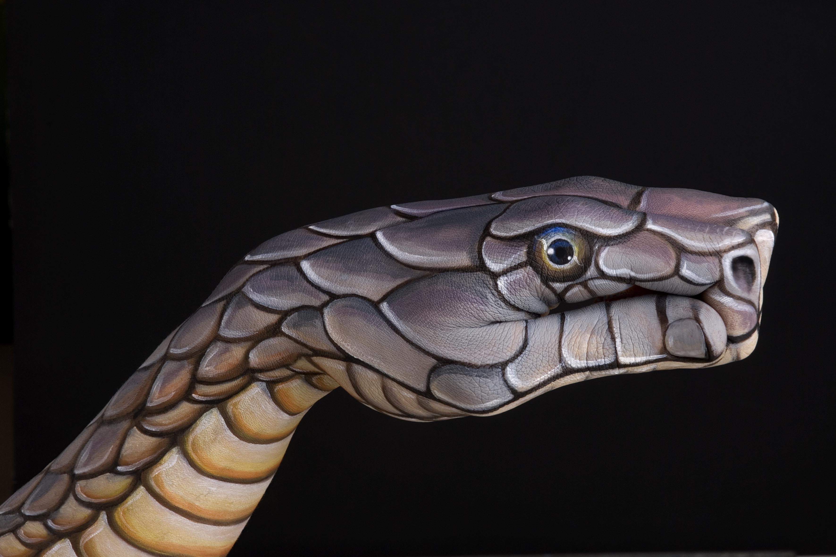 Bakgrunnsbilder til skrivebordet Slanger kreativ Hender en slange Kreativa originale