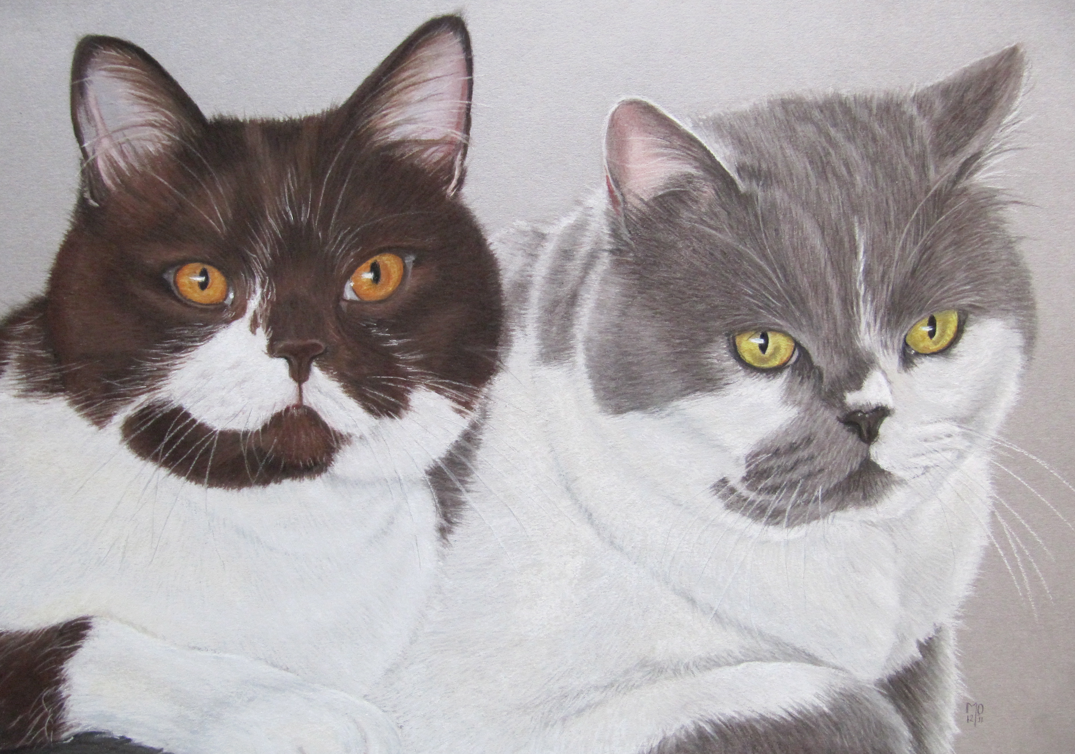 Sfondi gatto domestico Animali Disegnate 3733x2619 Gatti dipinti animale