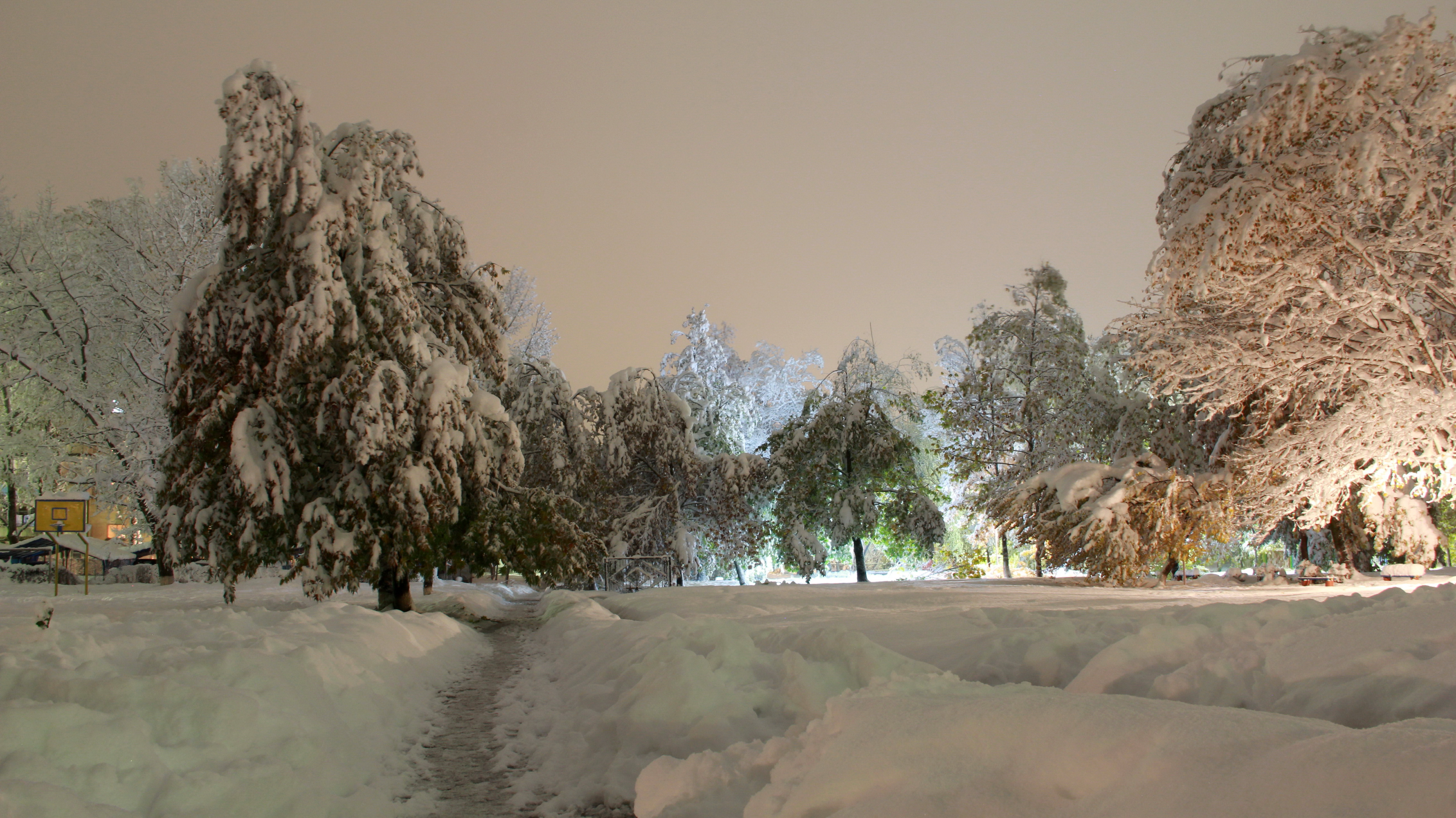 Desktop Hintergrundbilder Natur Winter Schnee Bäume Jahreszeiten 4582x2574