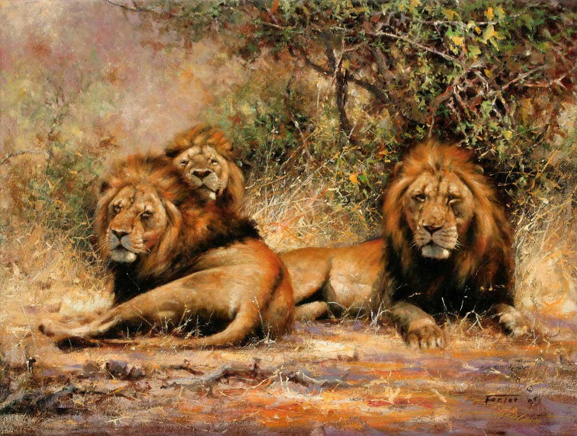 Desktop Hintergrundbilder Löwen Große Katze ein Tier Gezeichnet Löwe Tiere