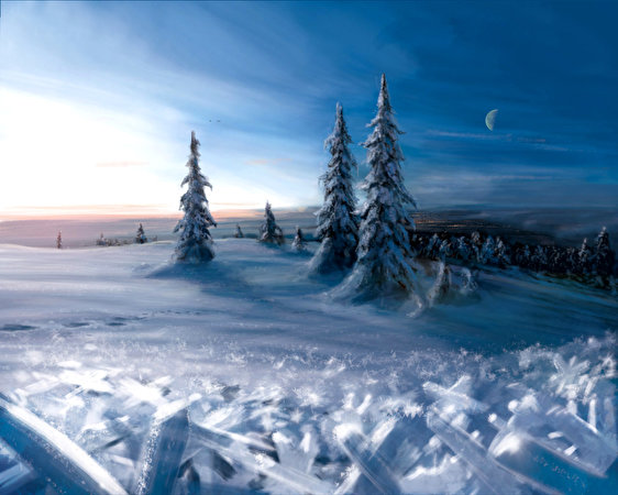 Foton Vinter Fantasy Gransläktet Snö 562x450 Picea